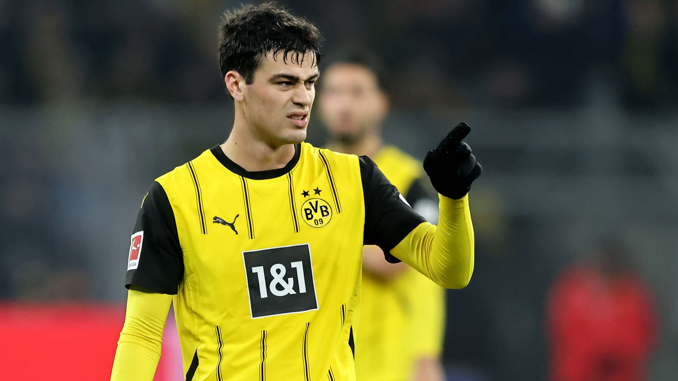 Borussia Dortmund v TSG 1899 Hoffenheim - Bundesliga