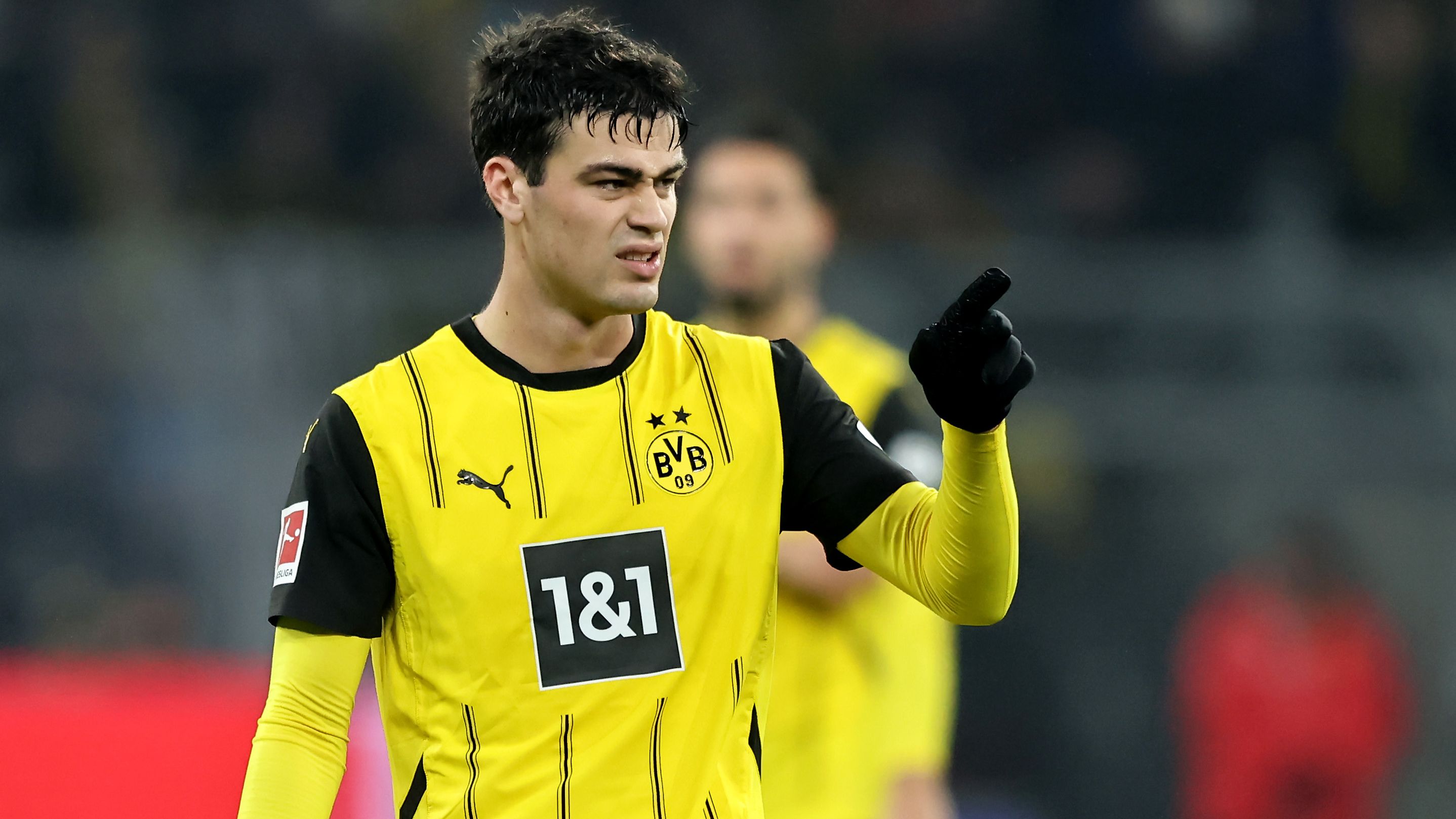 Borussia Dortmund v TSG 1899 Hoffenheim - Bundesliga