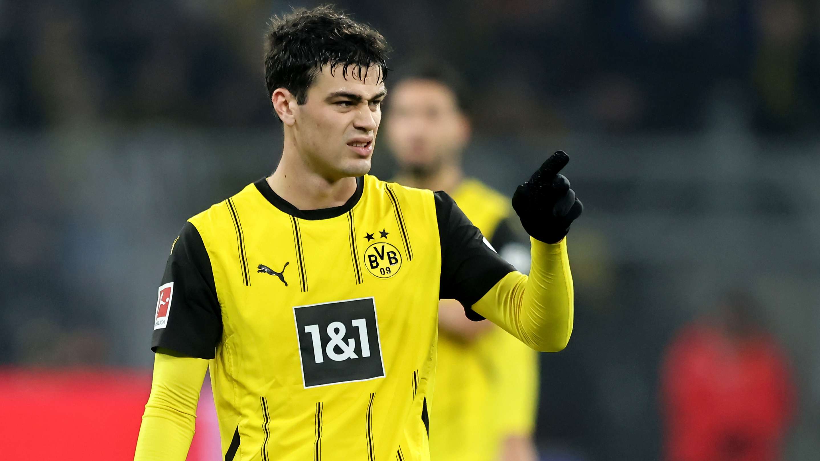 Borussia Dortmund v TSG 1899 Hoffenheim - Bundesliga