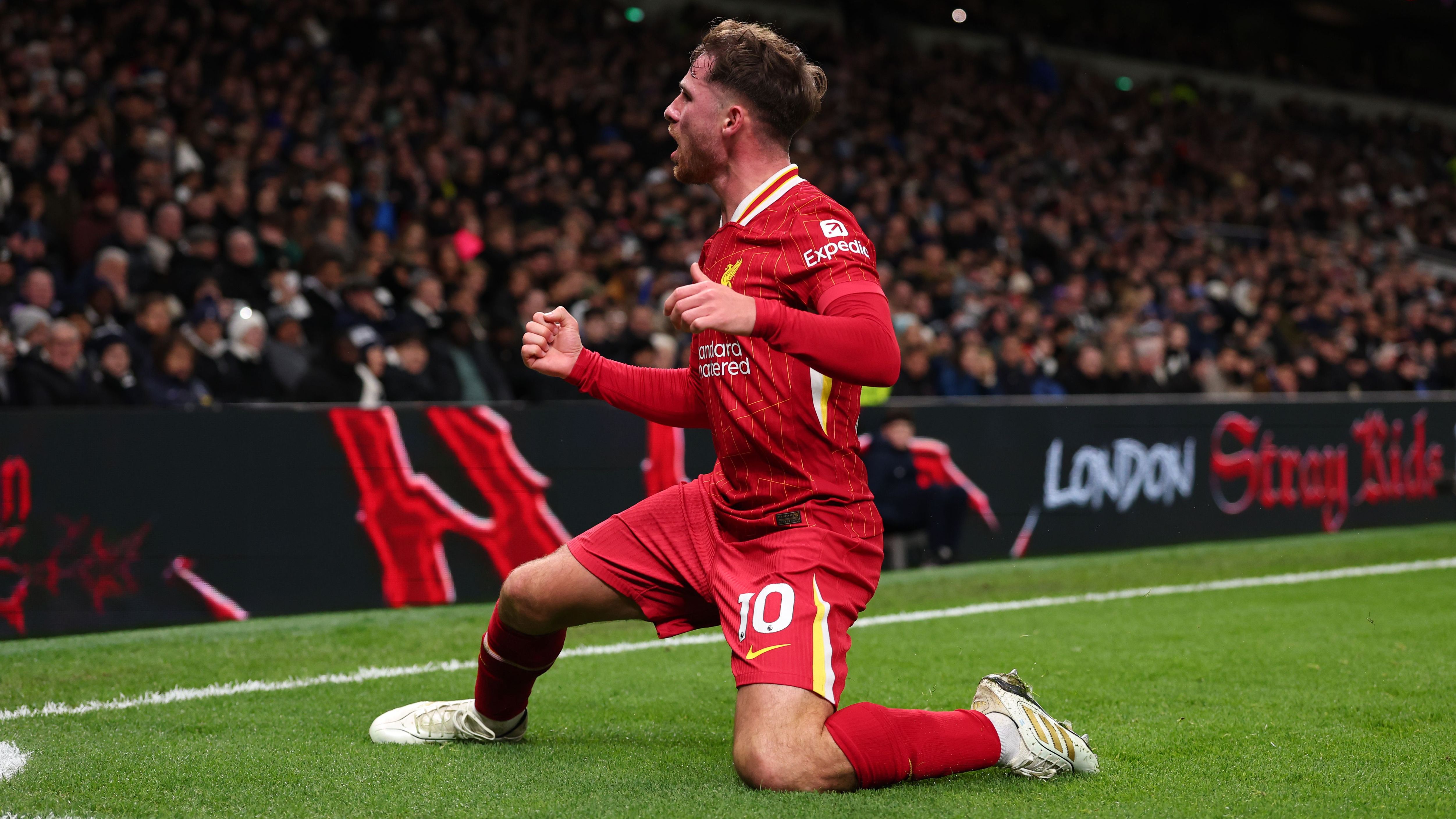 Tottenham Hotspur FC v Liverpool FC - Premier League