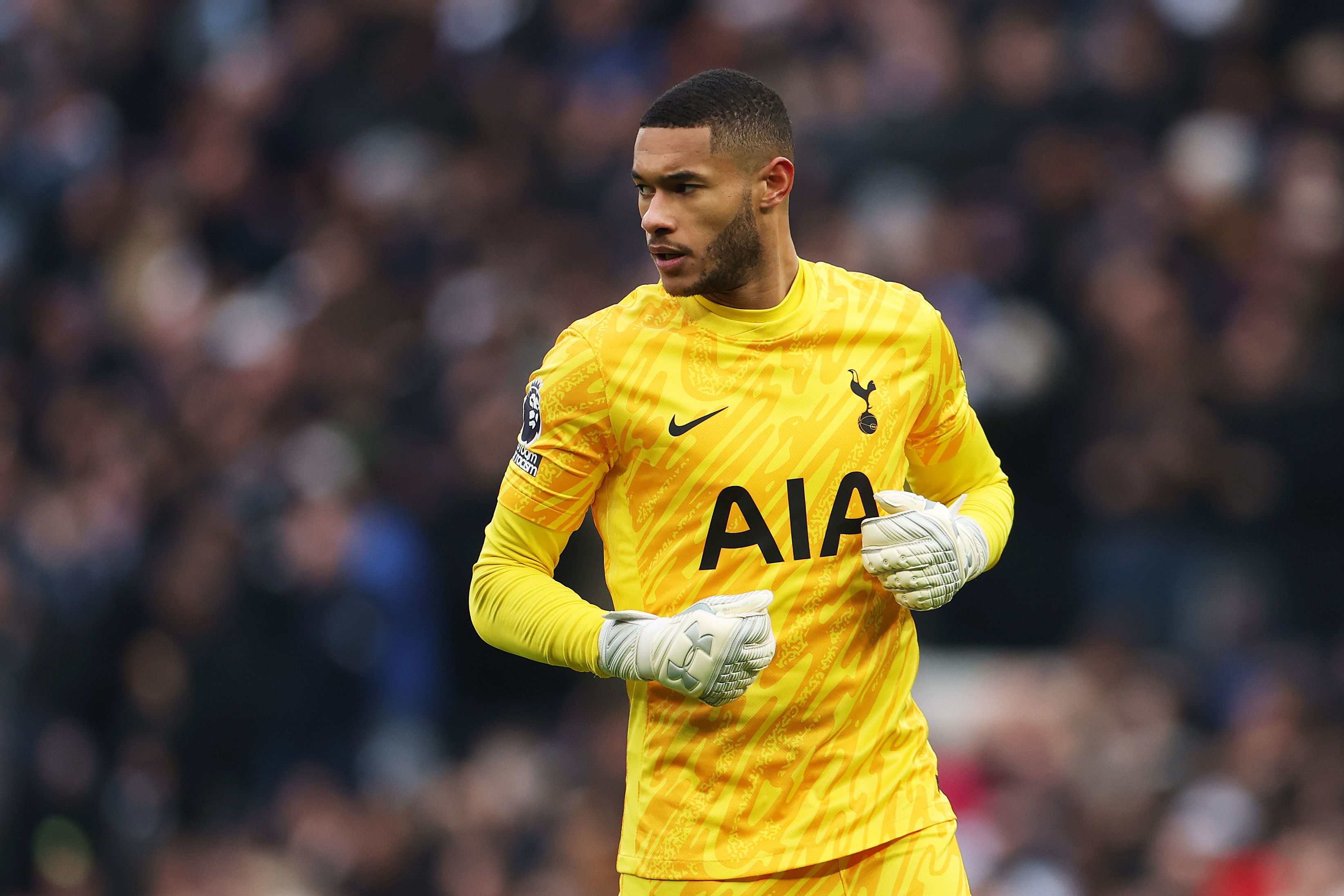 Tottenham Hotspur FC v Newcastle United FC - Premier League