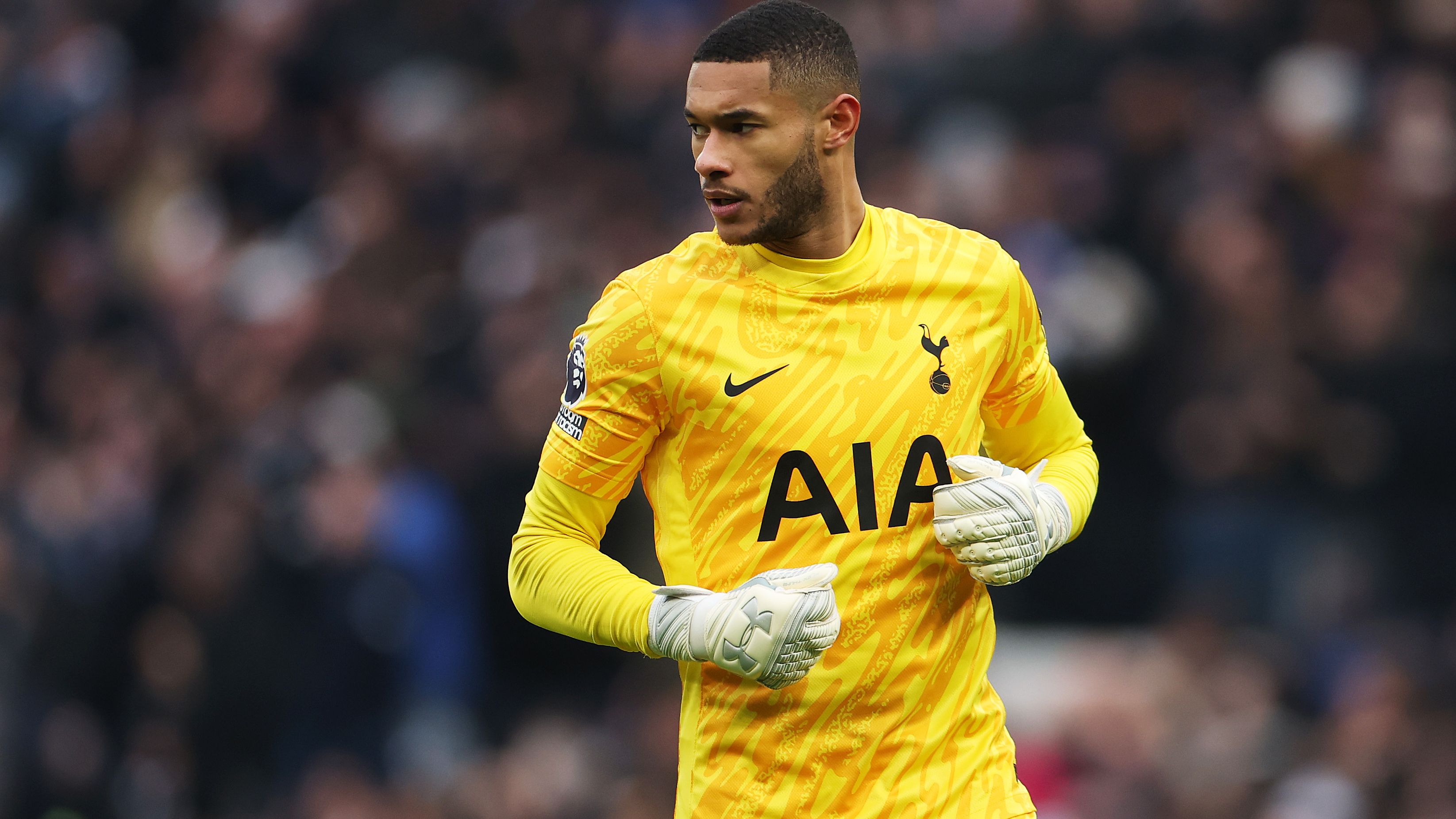 Tottenham Hotspur FC v Newcastle United FC - Premier League