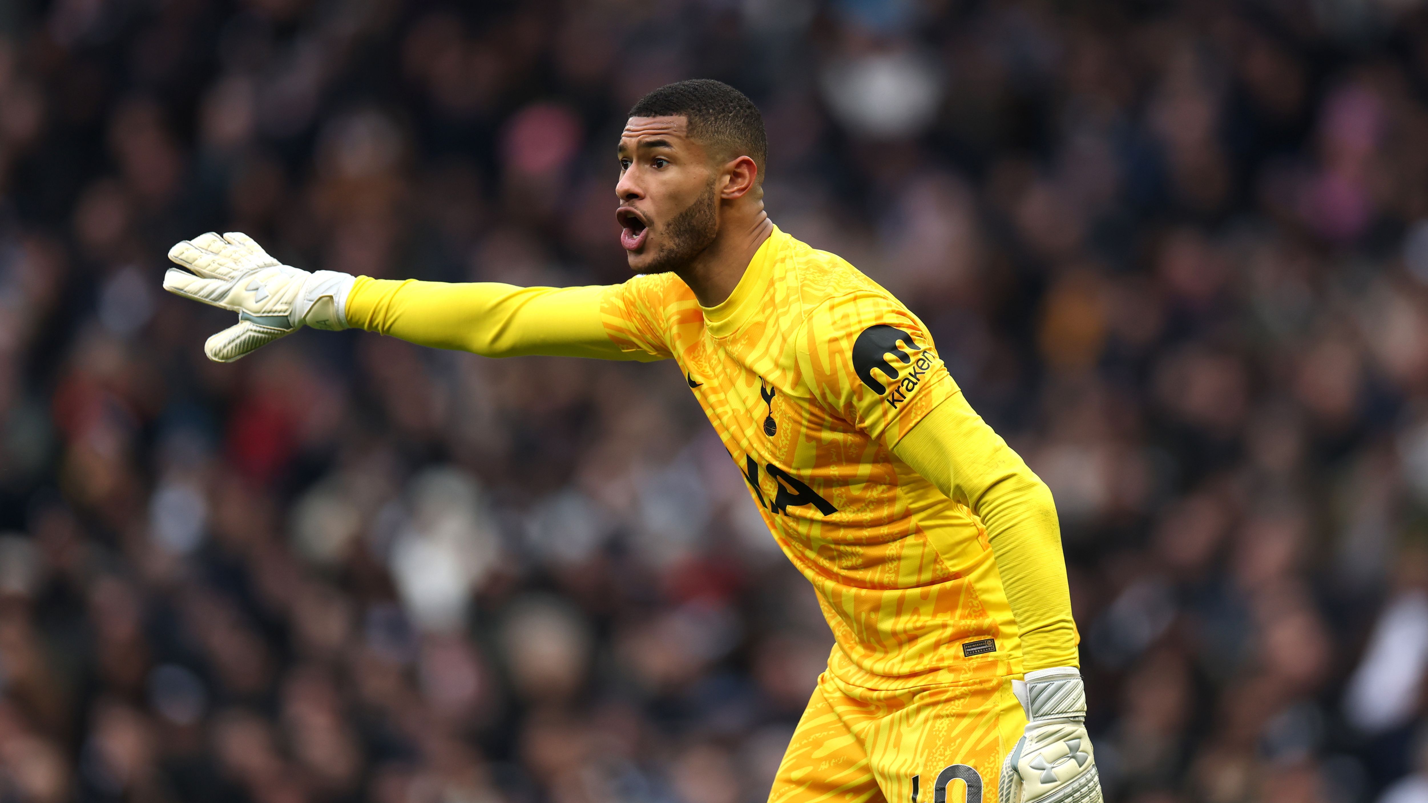 Tottenham Hotspur FC v Newcastle United FC - Premier League