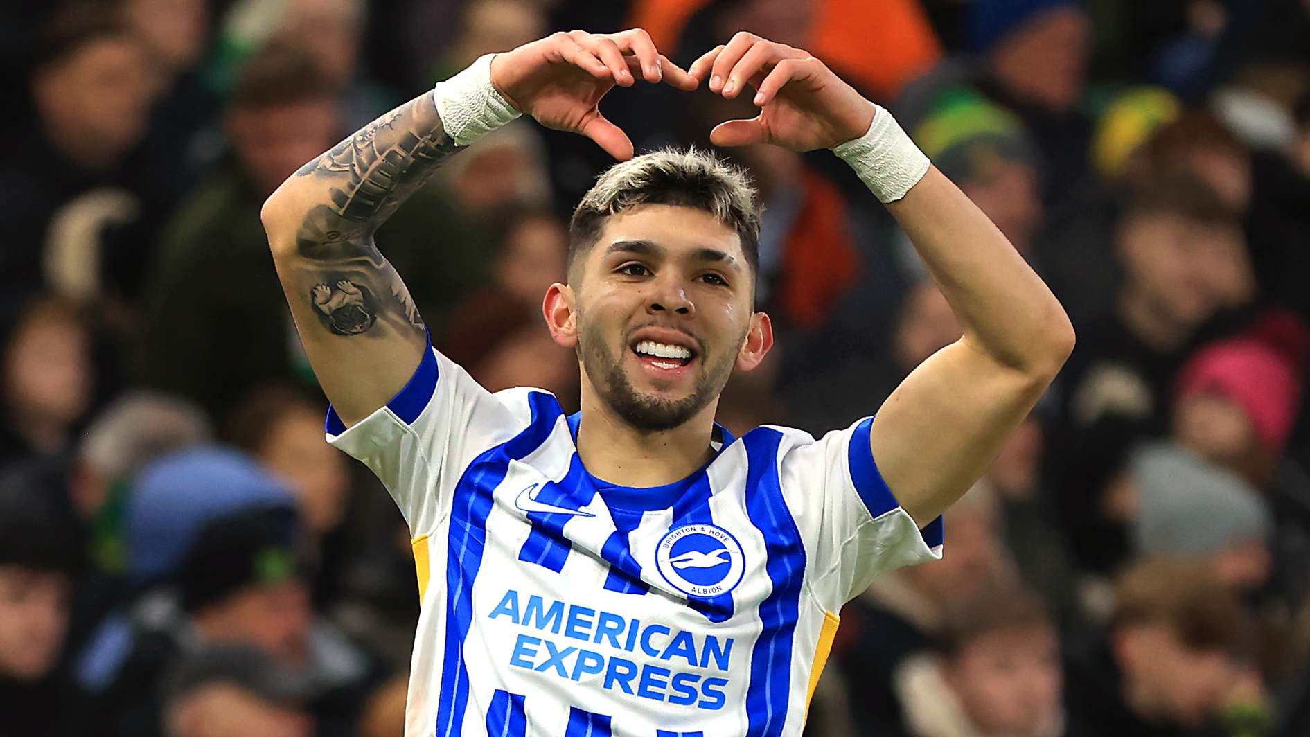 Norwich City v Brighton & Hove Albion - Emirates FA Cup Third Round