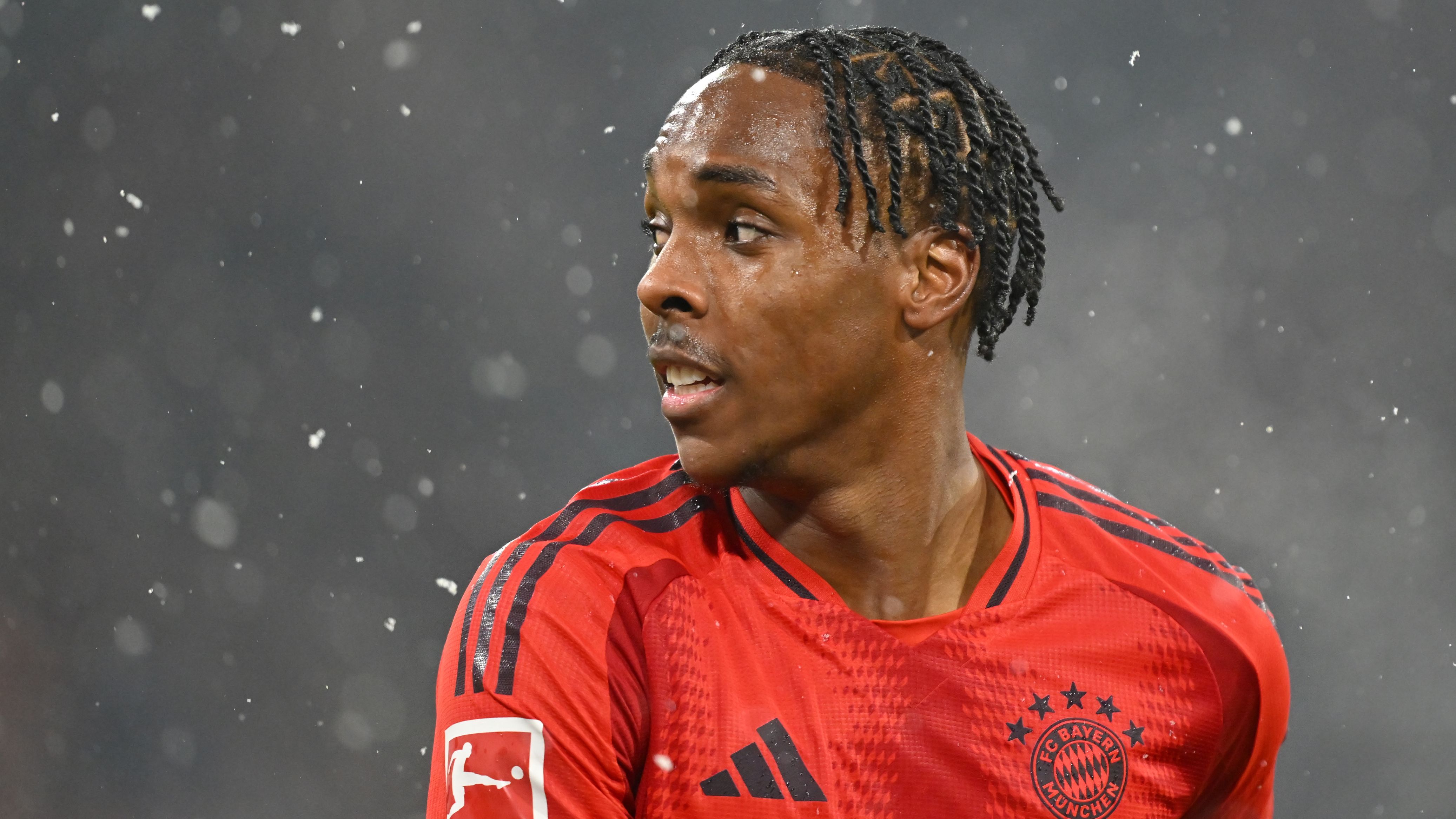 FC Bayern München v TSG 1899 Hoffenheim - Bundesliga