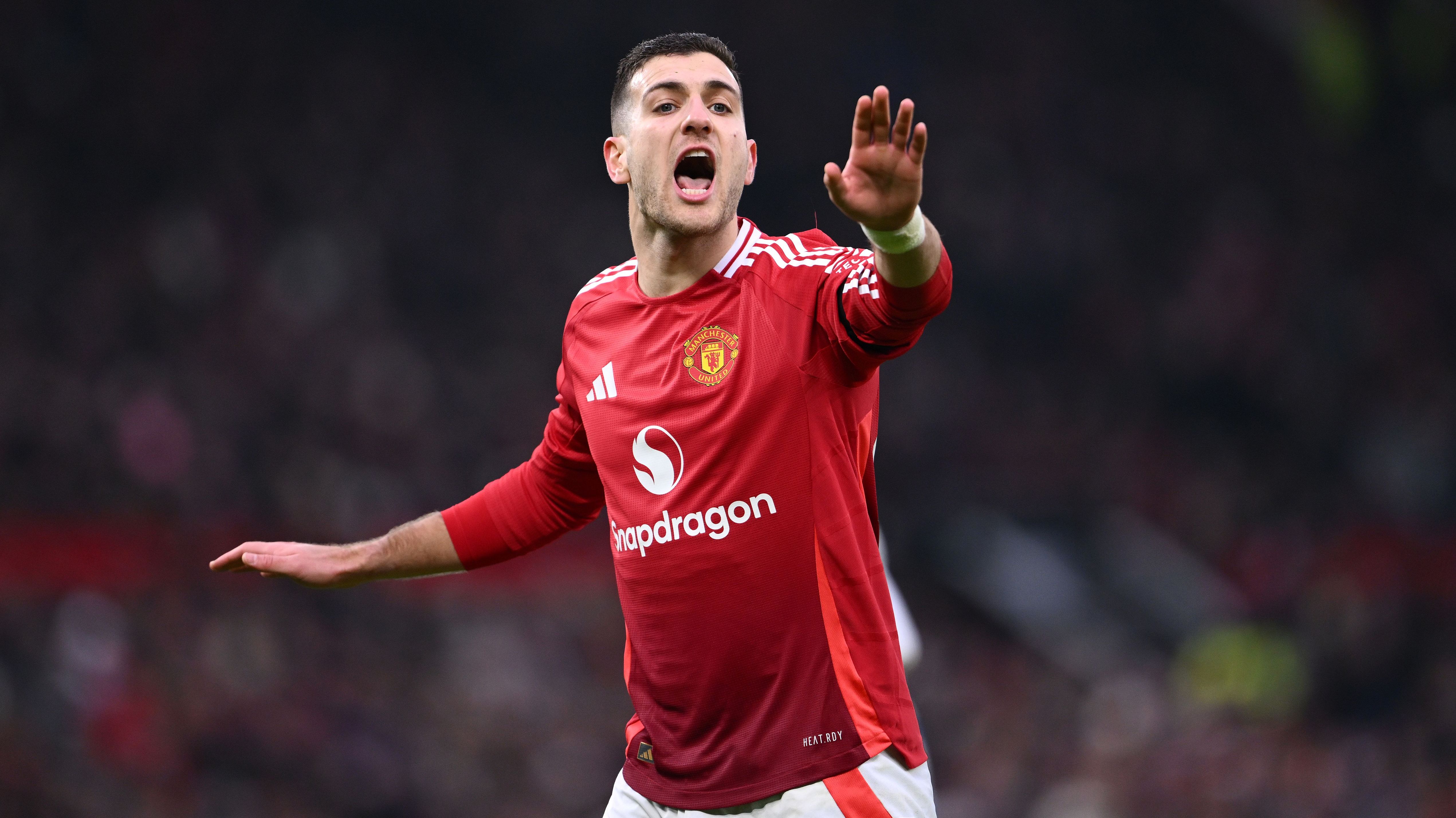 Manchester United FC v Brighton & Hove Albion FC - Premier League