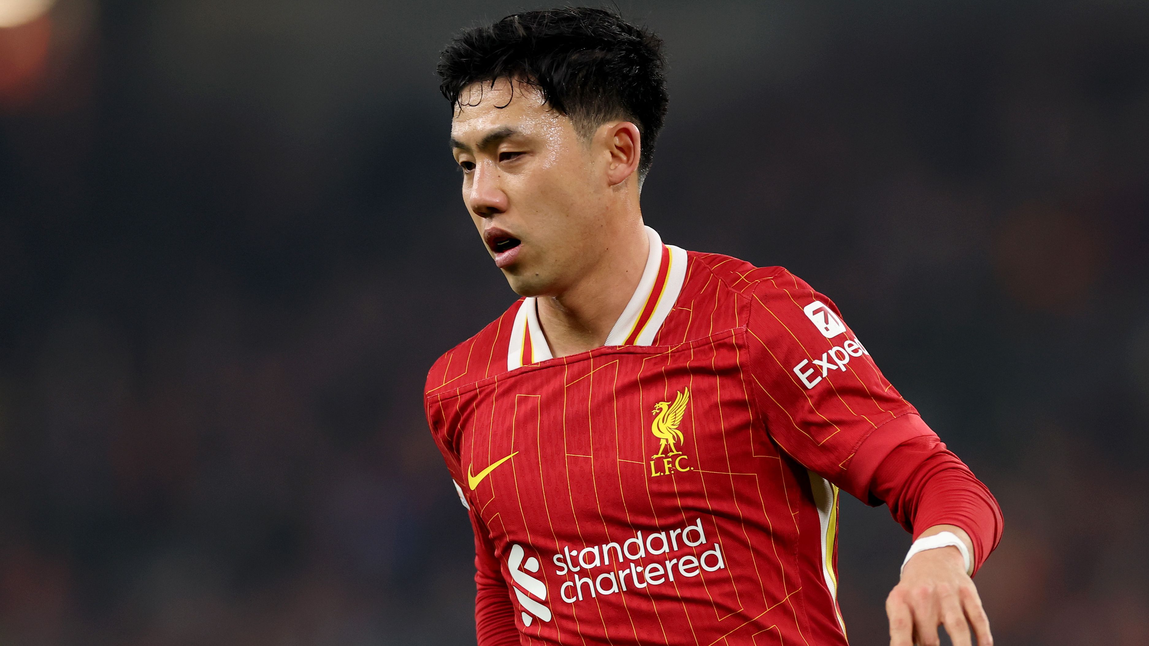 Liverpool FC v LOSC Lille - UEFA Champions League 2024/25 League Phase MD7