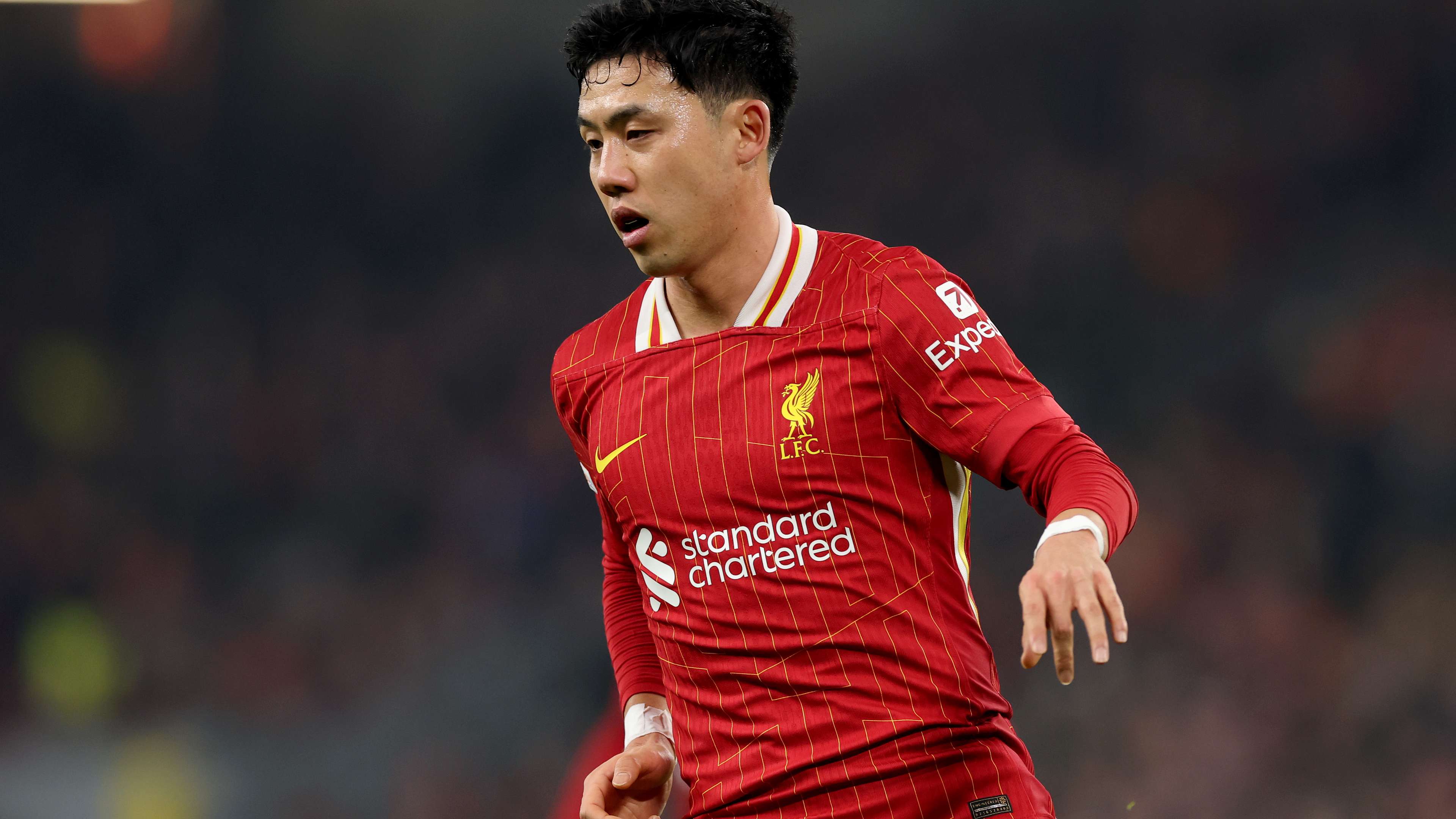 Liverpool FC v LOSC Lille - UEFA Champions League 2024/25 League Phase MD7