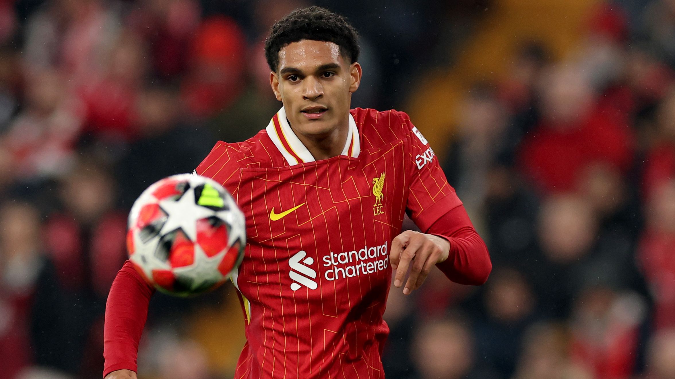 Liverpool FC v LOSC Lille - UEFA Champions League 2024/25 League Phase MD7