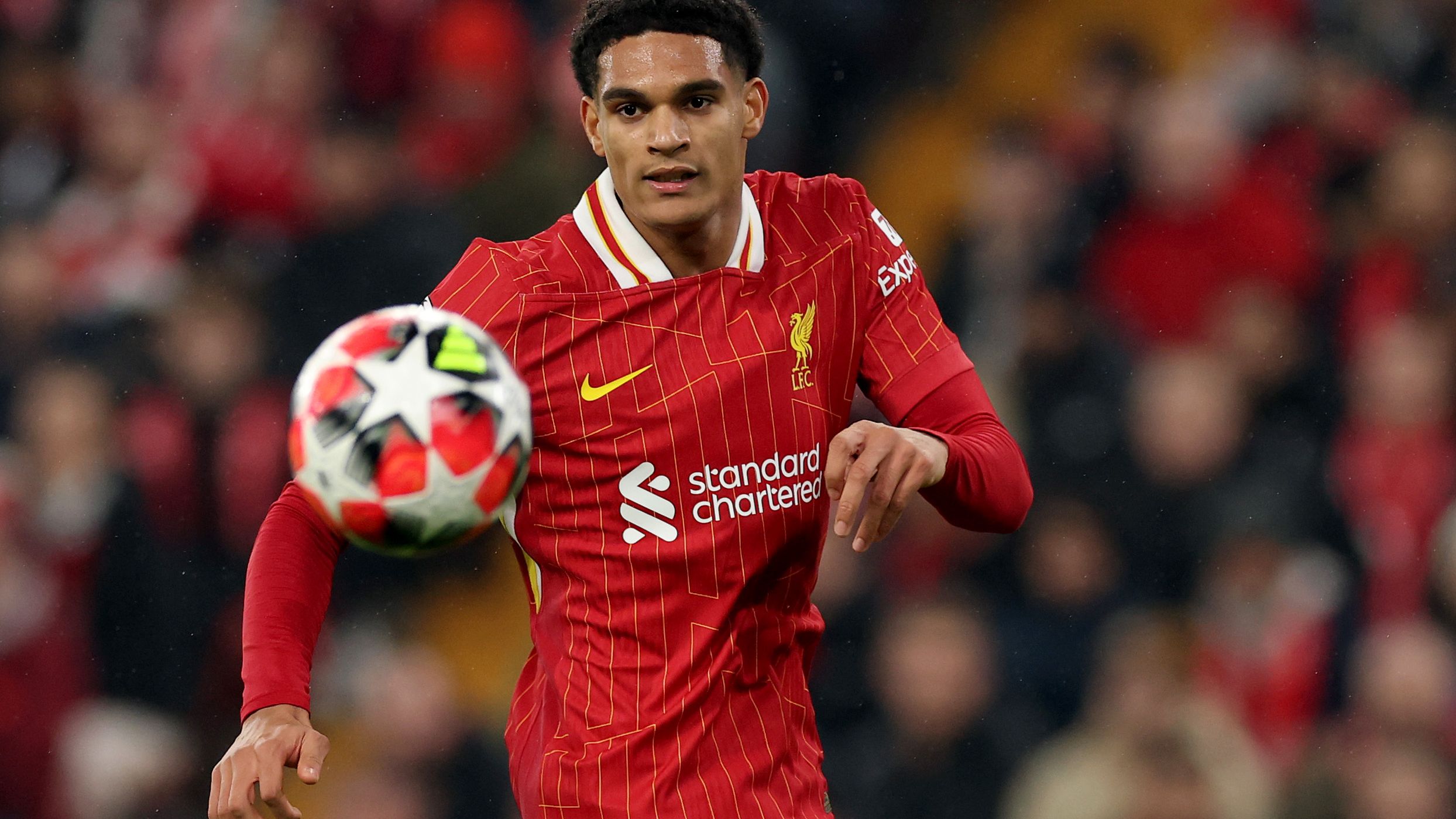 Liverpool FC v LOSC Lille - UEFA Champions League 2024/25 League Phase MD7