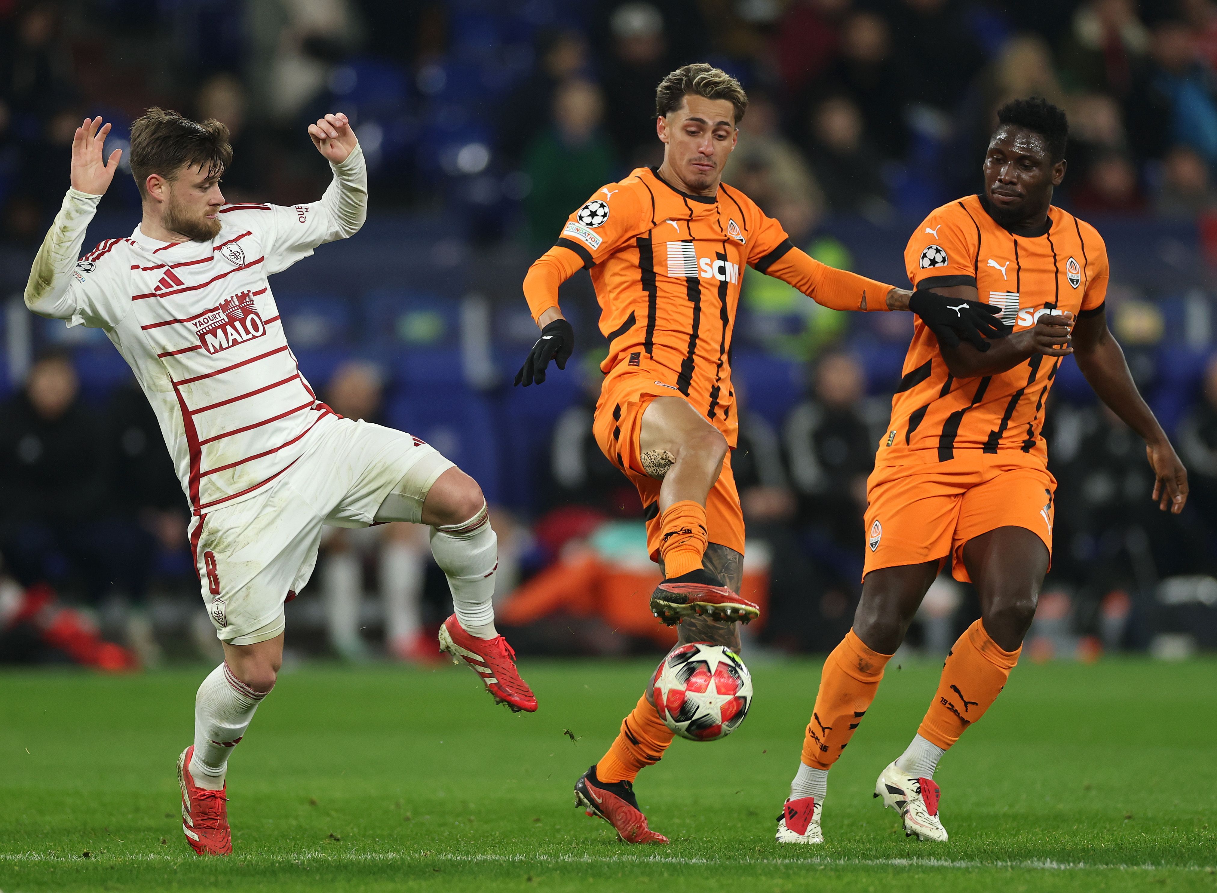 FC Shakhtar Donetsk v Stade Brestois 29 - UEFA Champions League 2024/25 League Phase MD7