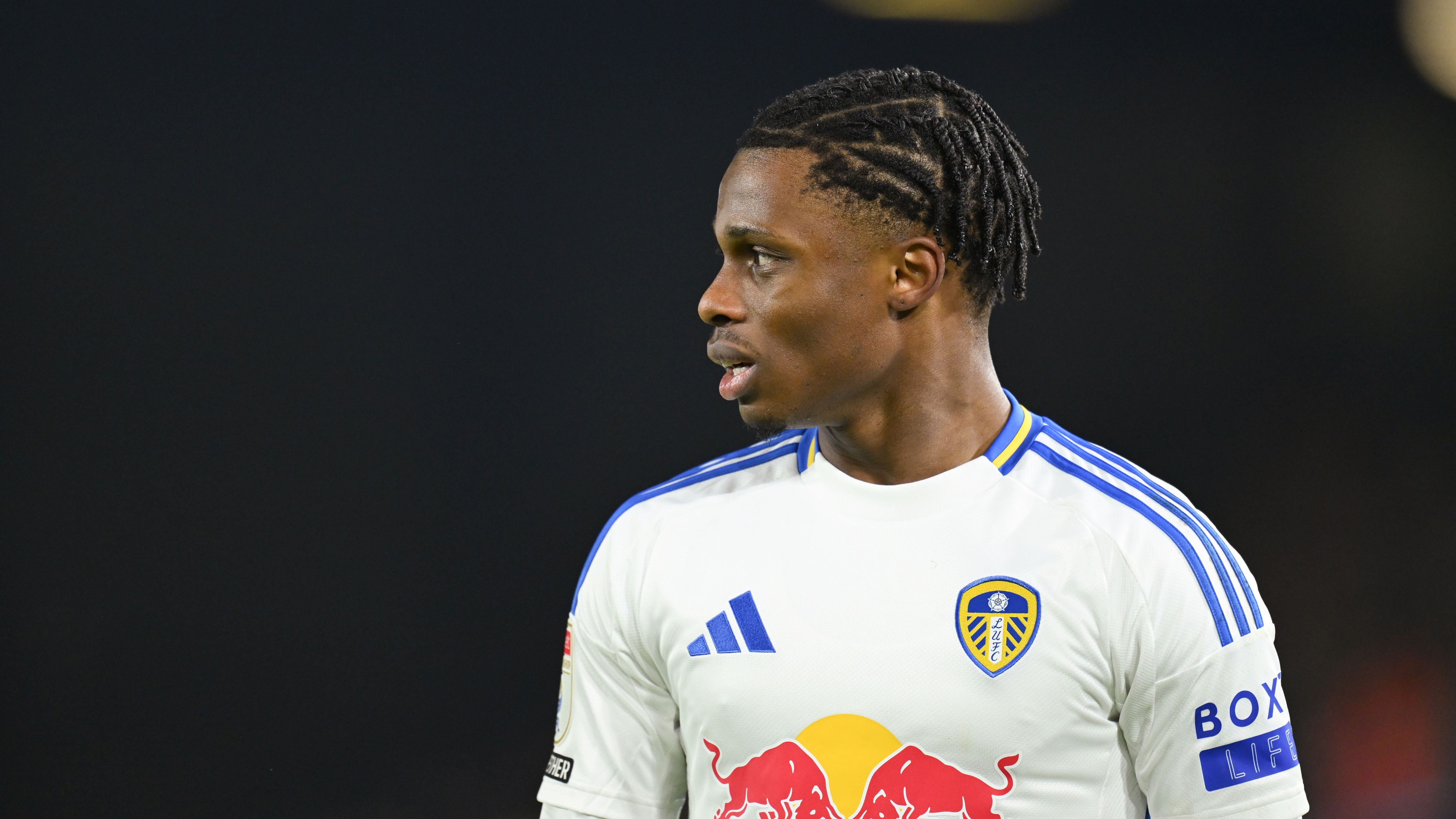 Leeds United FC v Norwich City FC - Sky Bet Championship