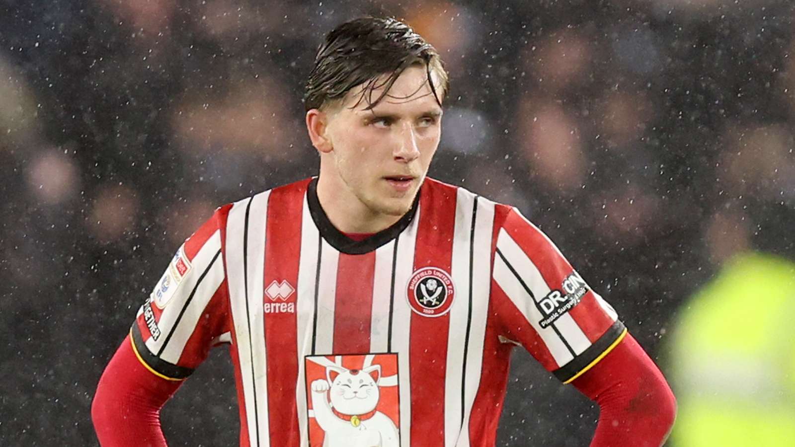 Sheffield United FC v Hull City AFC - Sky Bet Championship