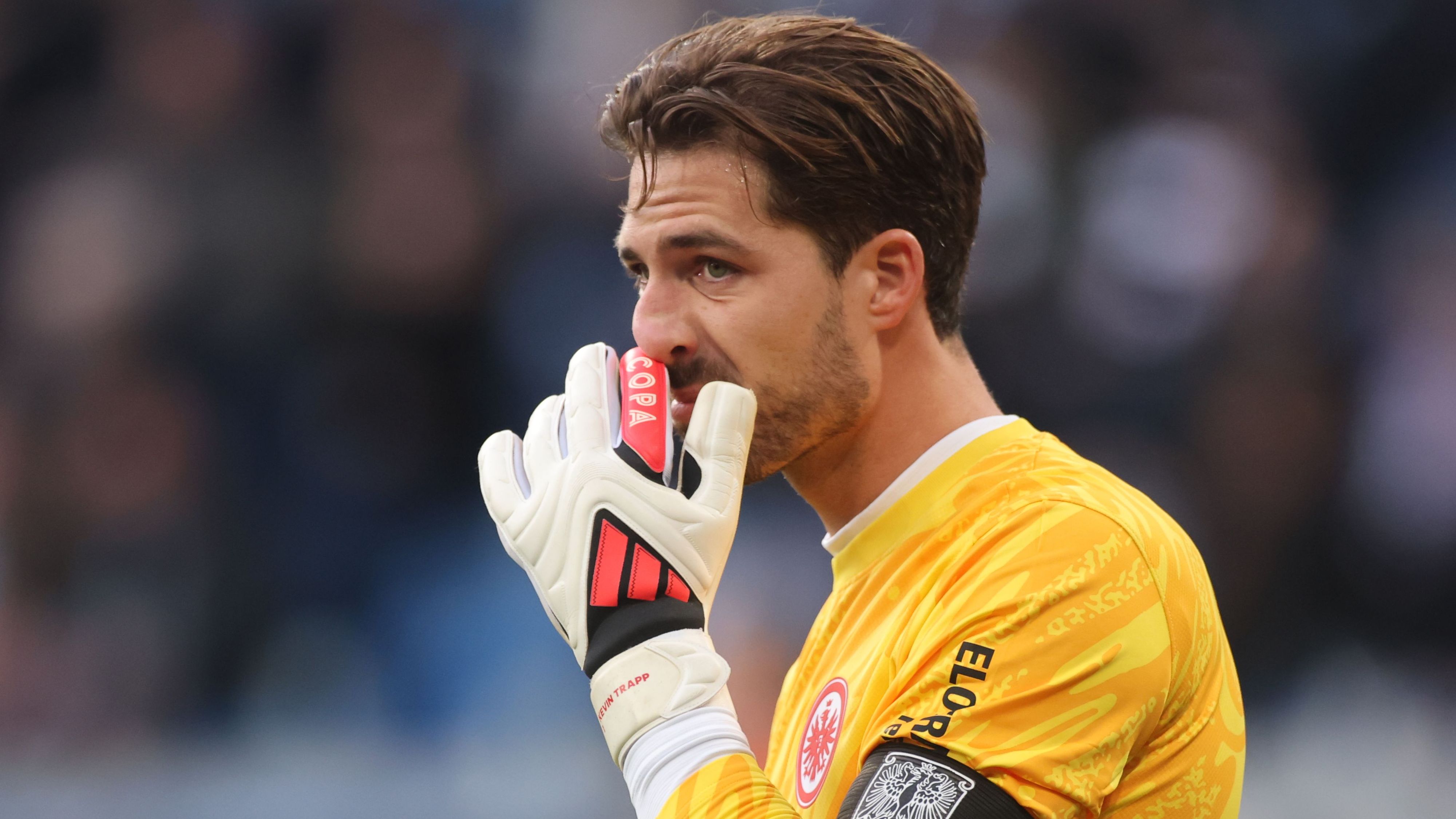 TSG 1899 Hoffenheim v Eintracht Frankfurt - Bundesliga