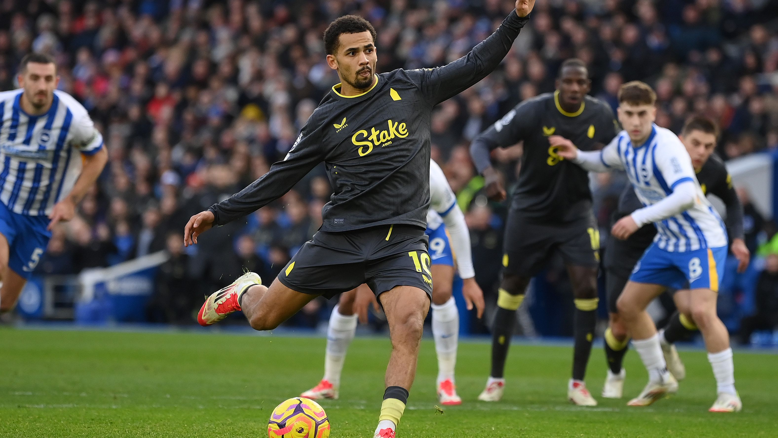 Brighton & Hove Albion FC v Everton FC - Premier League