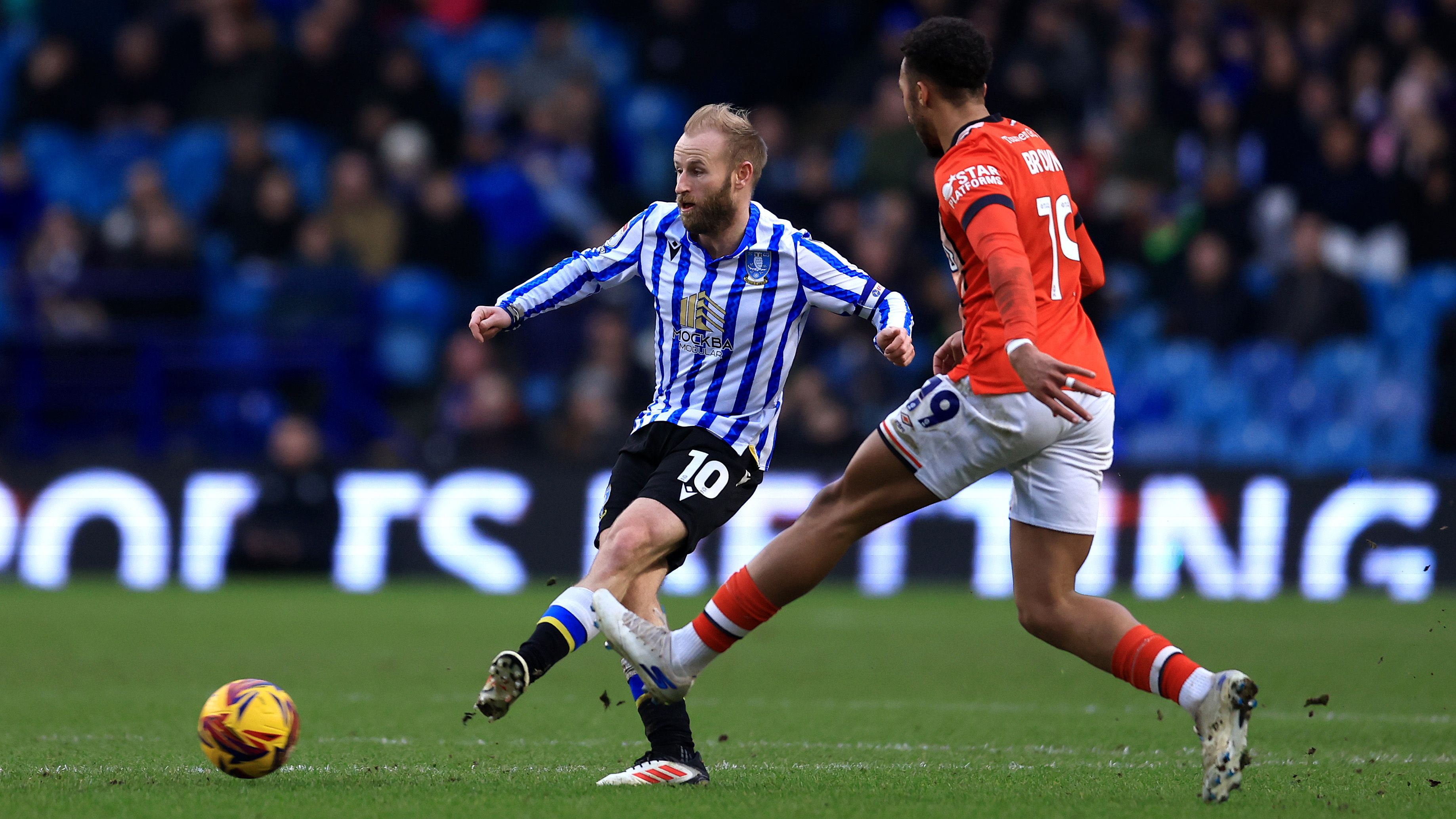 Sheffield Wednesday FC v Luton Town FC - Sky Bet Championship