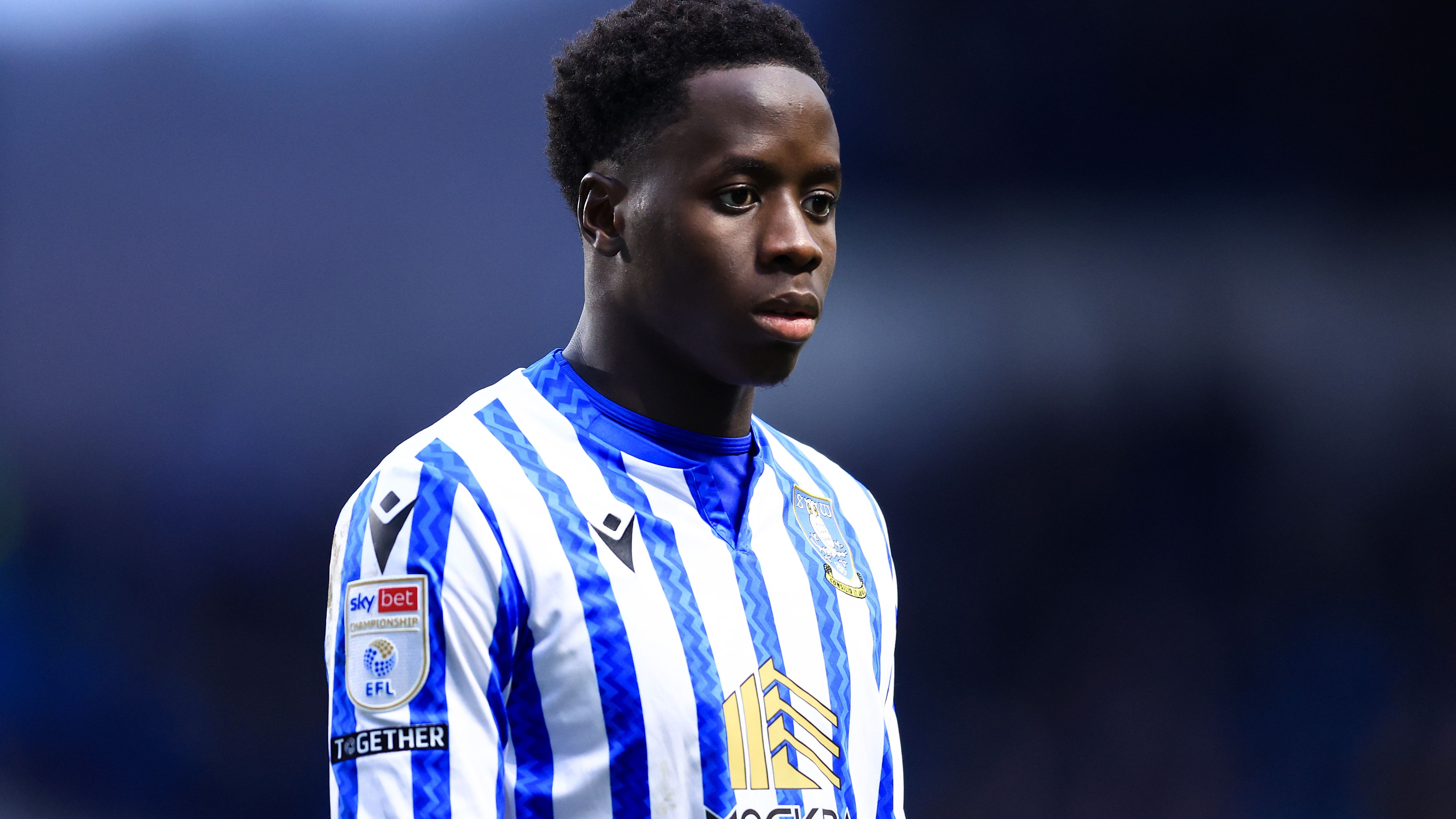 Sheffield Wednesday FC v Luton Town FC - Sky Bet Championship