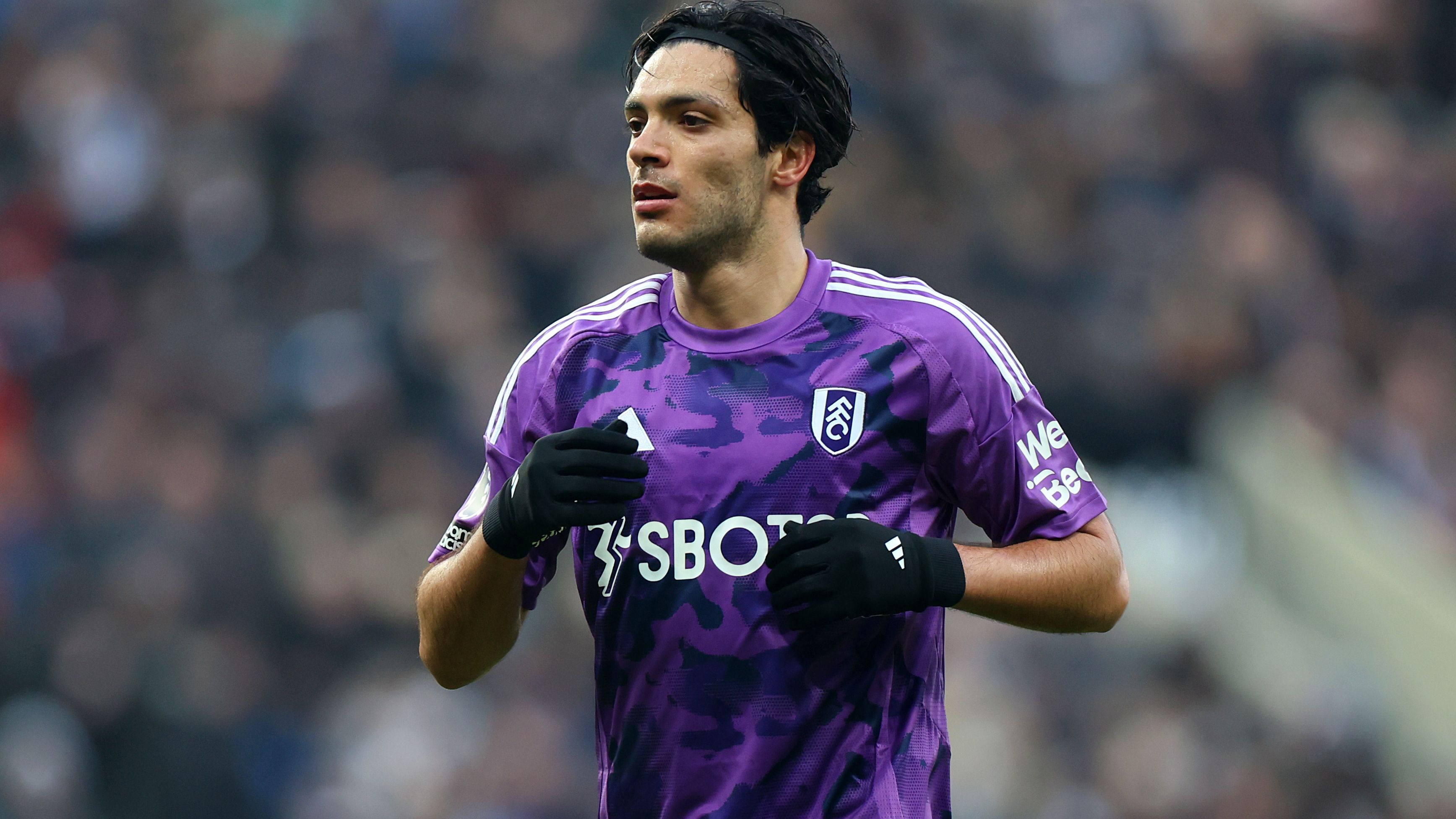 Newcastle United FC v Fulham FC - Premier League