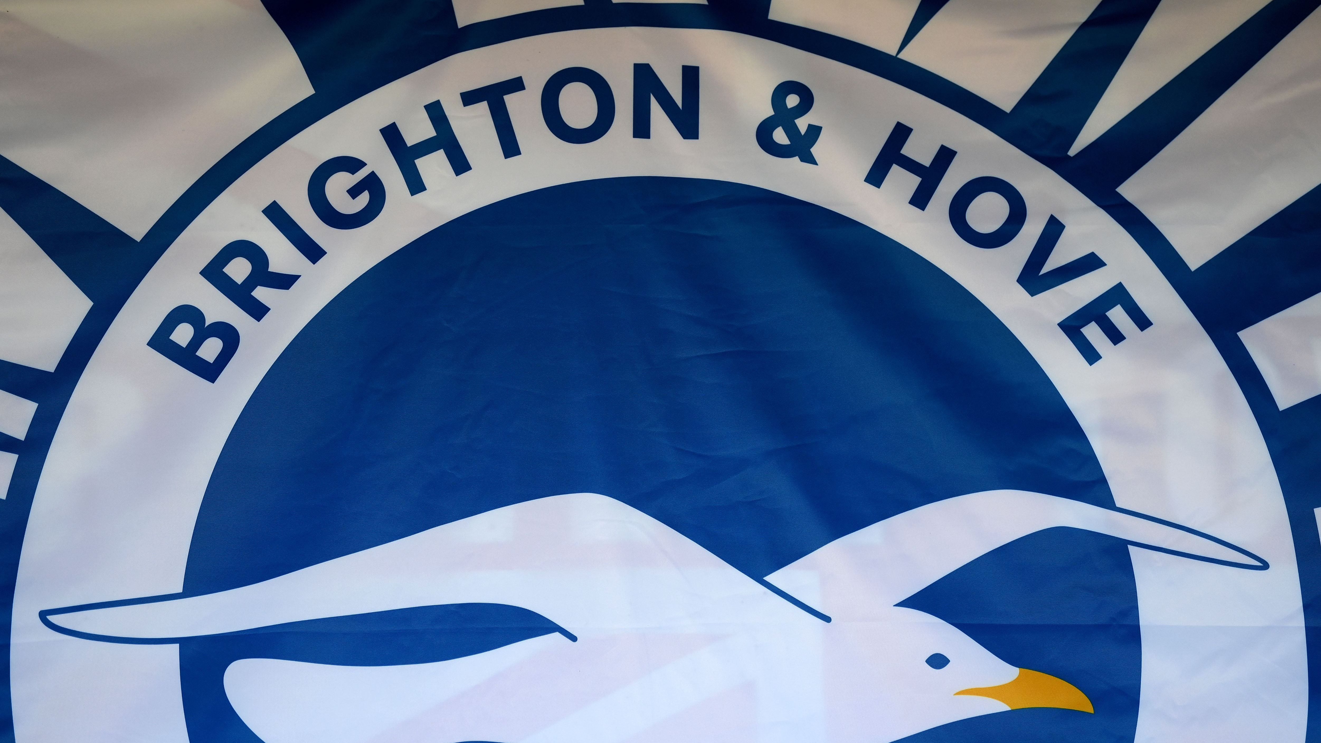 Brighton & Hove Albion FC v Crystal Palace  - Barclays Women's Super League