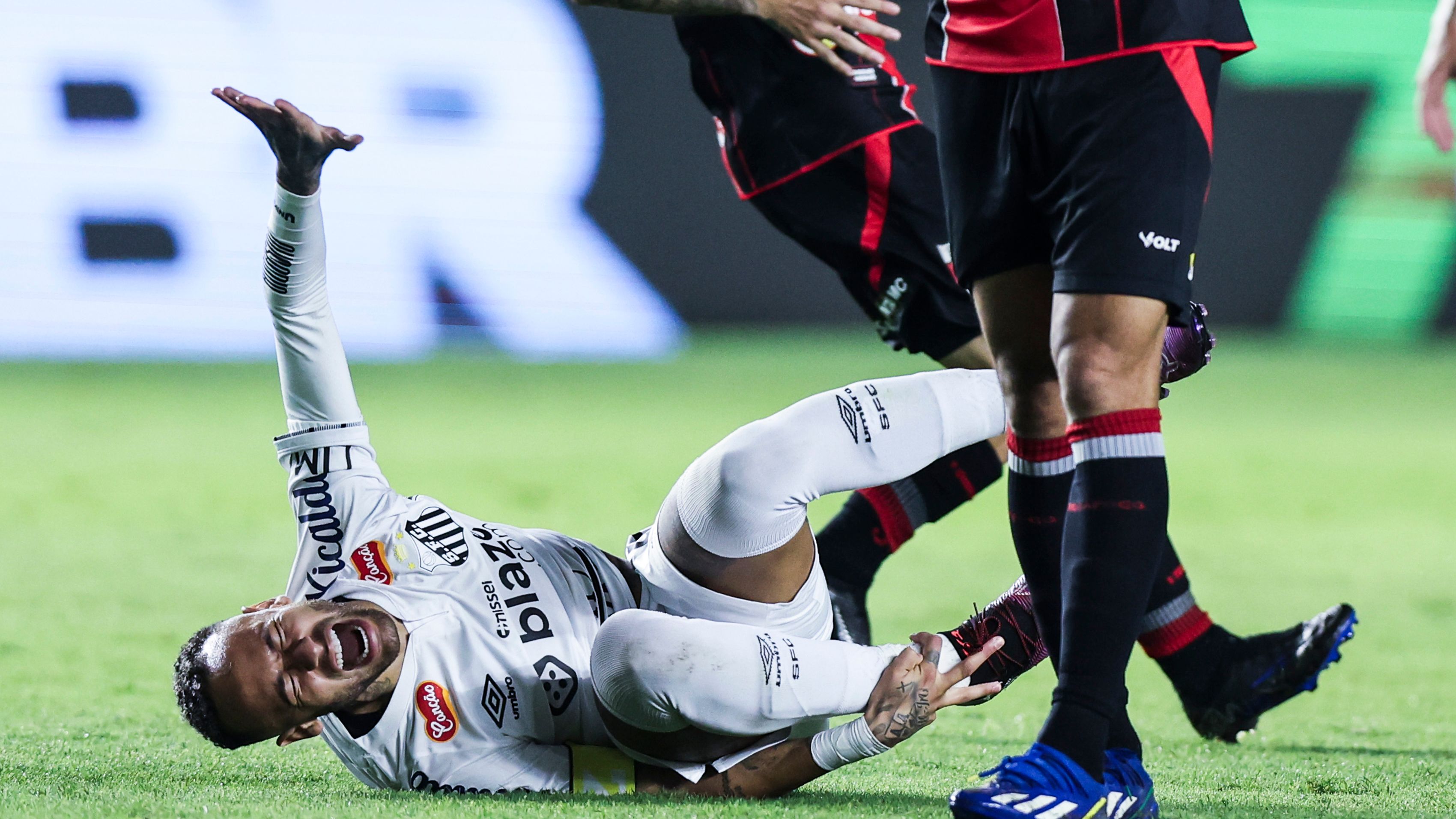 Santos v Botafogo - Campeonato Paulista 2025