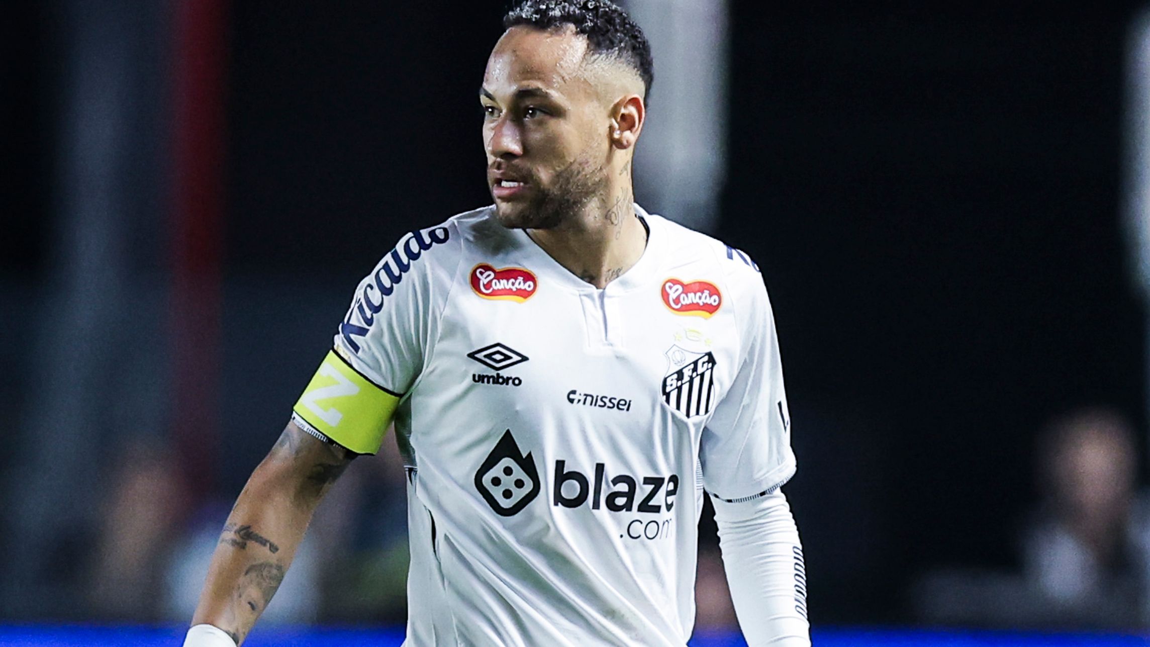 Santos v Botafogo - Campeonato Paulista 2025