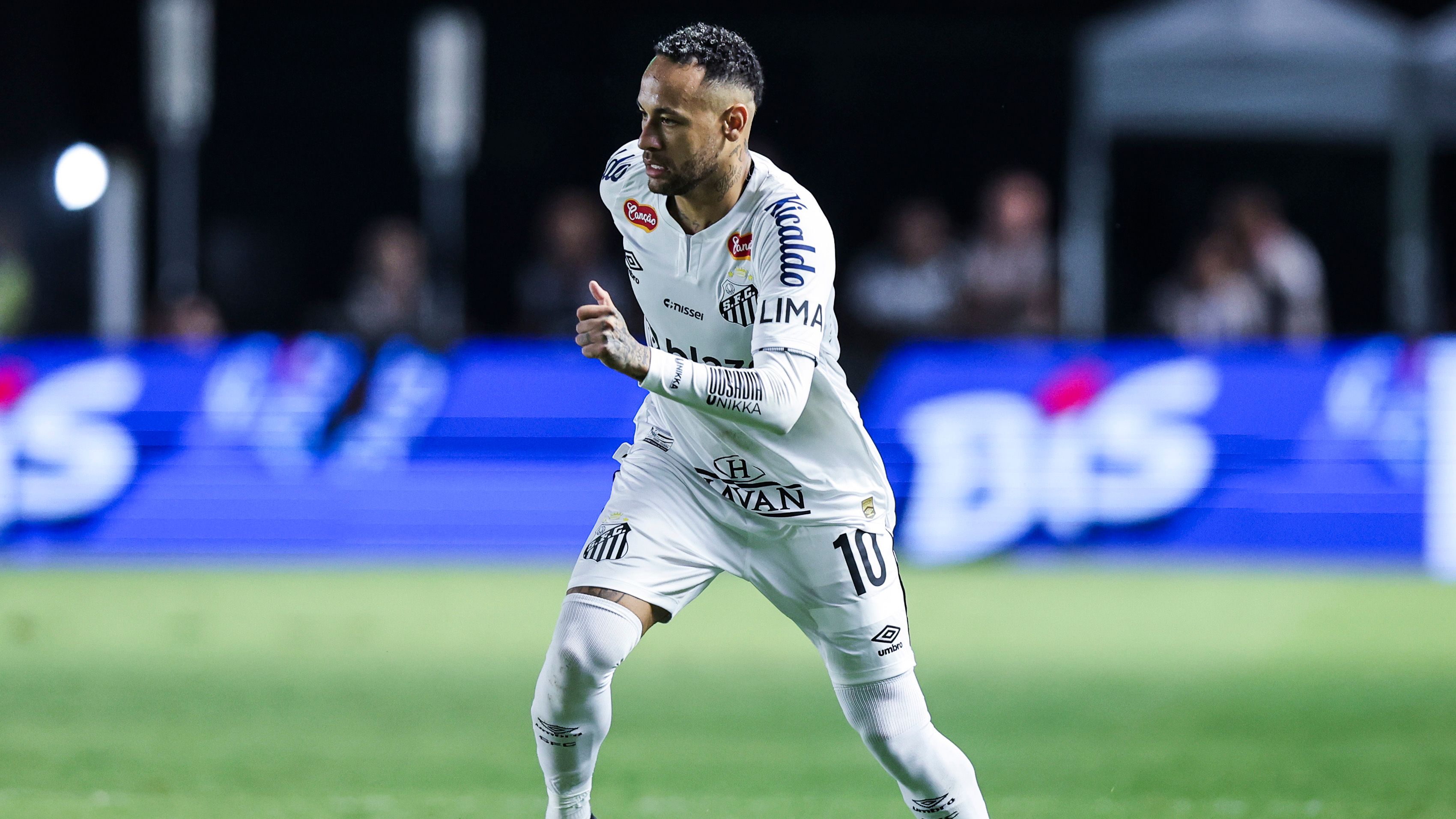 Santos v Botafogo - Campeonato Paulista 2025