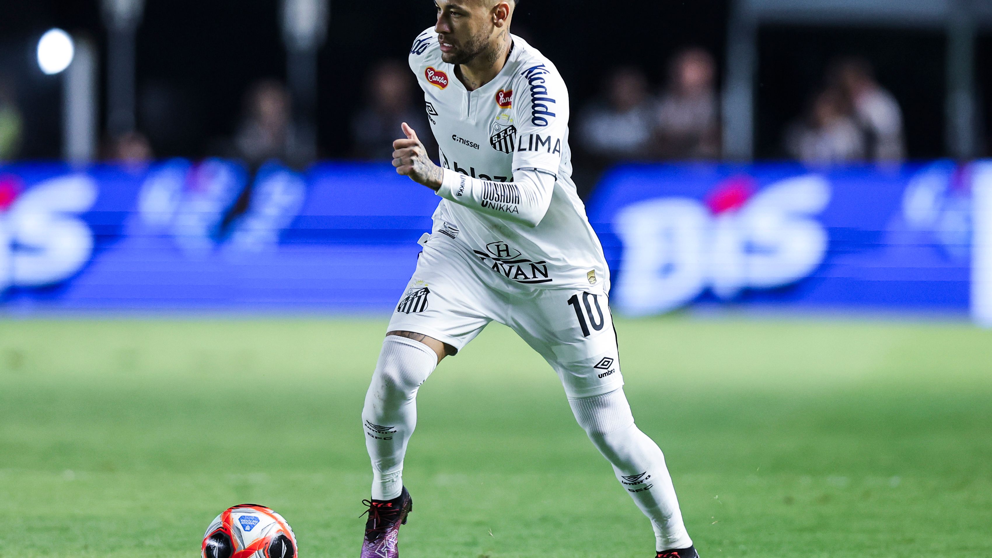 Santos v Botafogo - Campeonato Paulista 2025