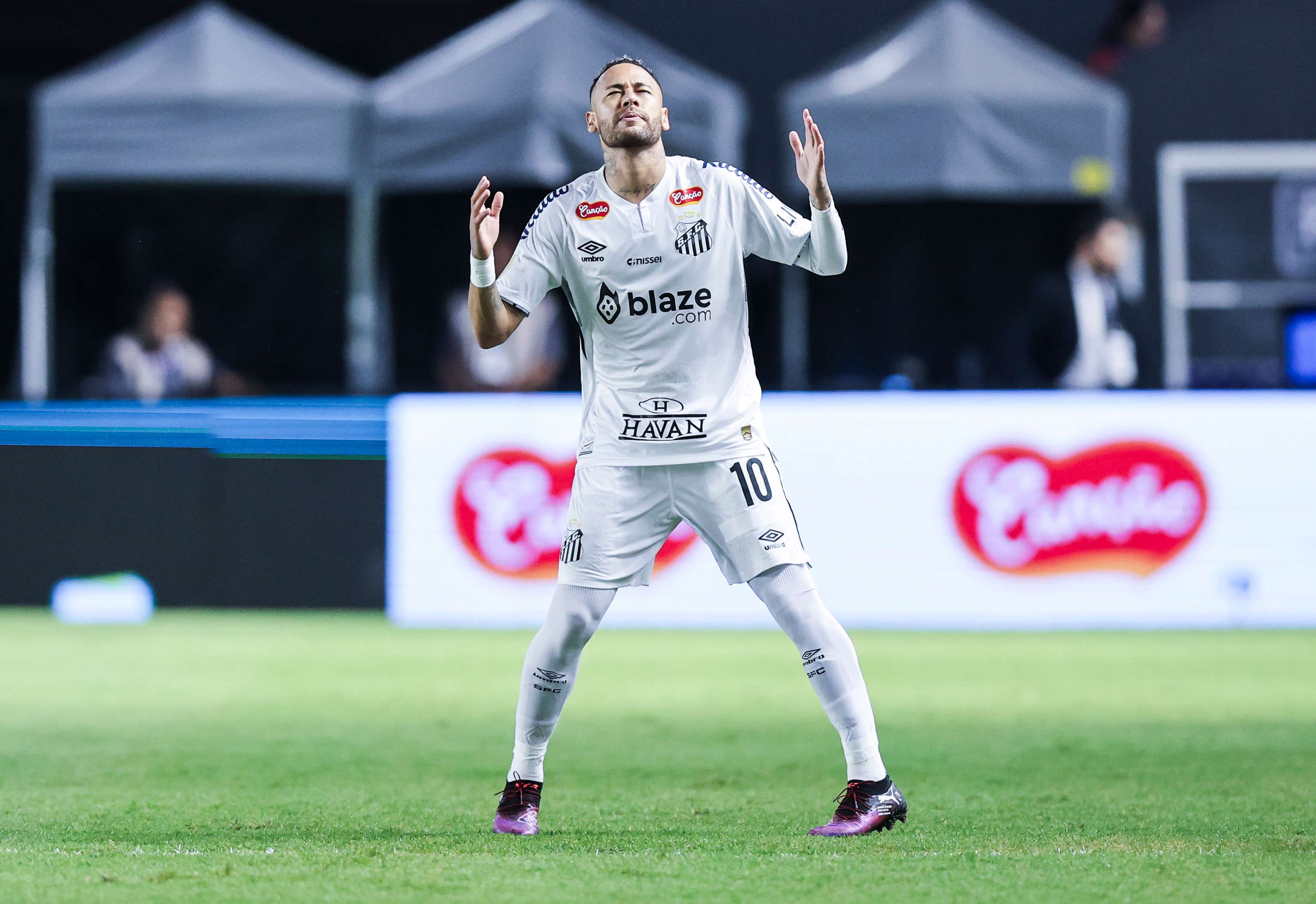 Santos v Botafogo - Campeonato Paulista 2025