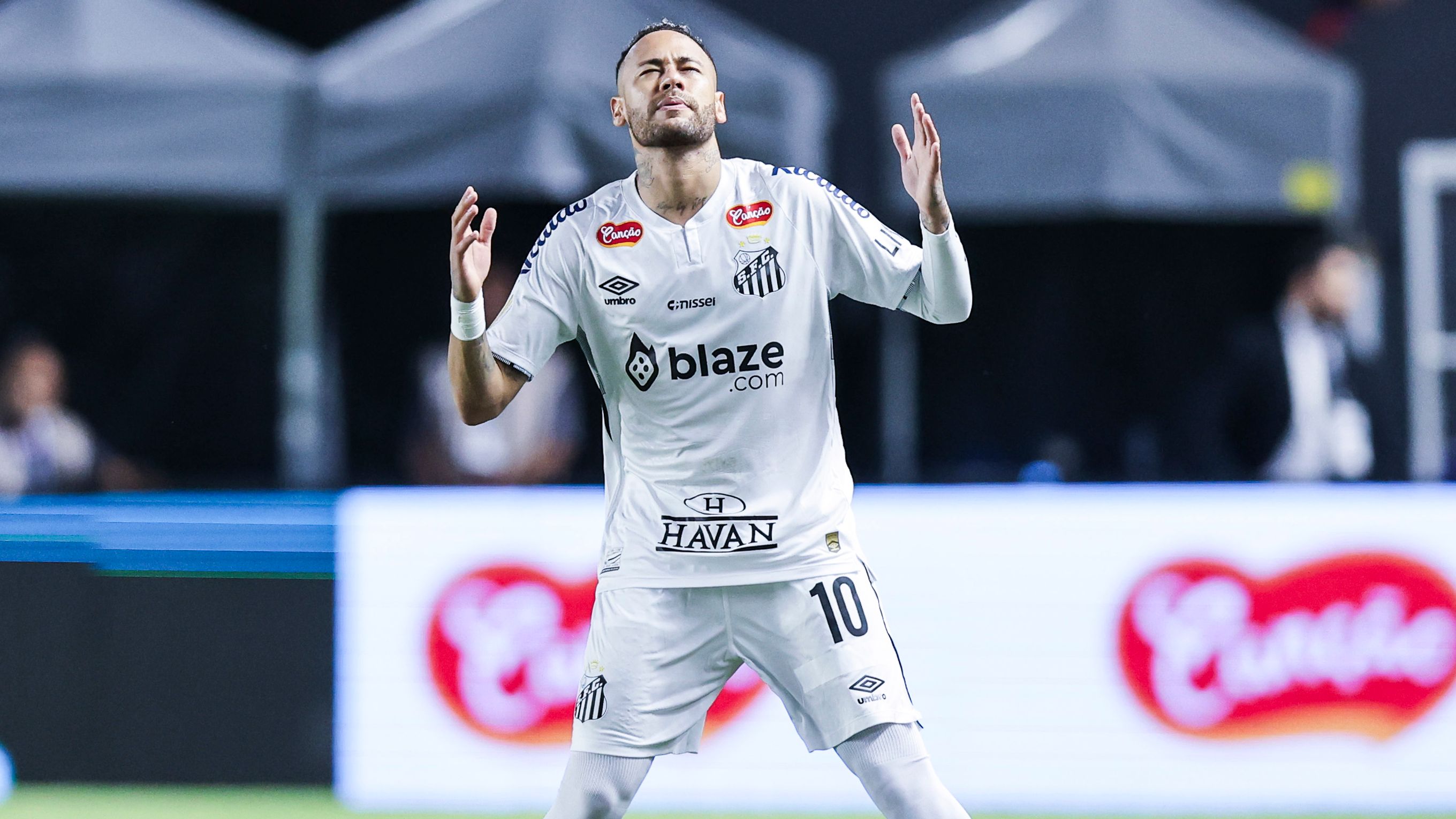 Santos v Botafogo - Campeonato Paulista 2025