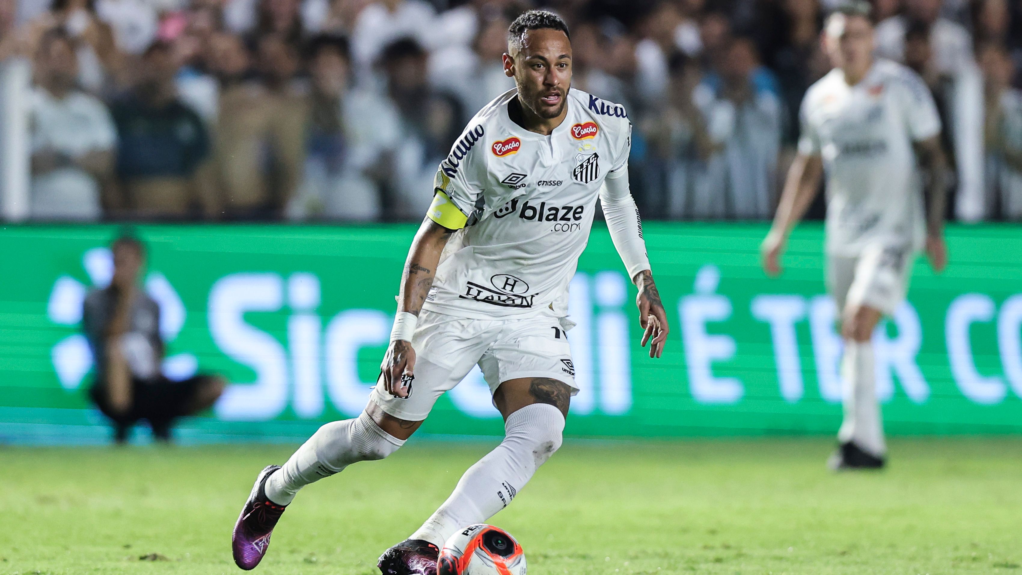 Santos v Botafogo - Campeonato Paulista 2025