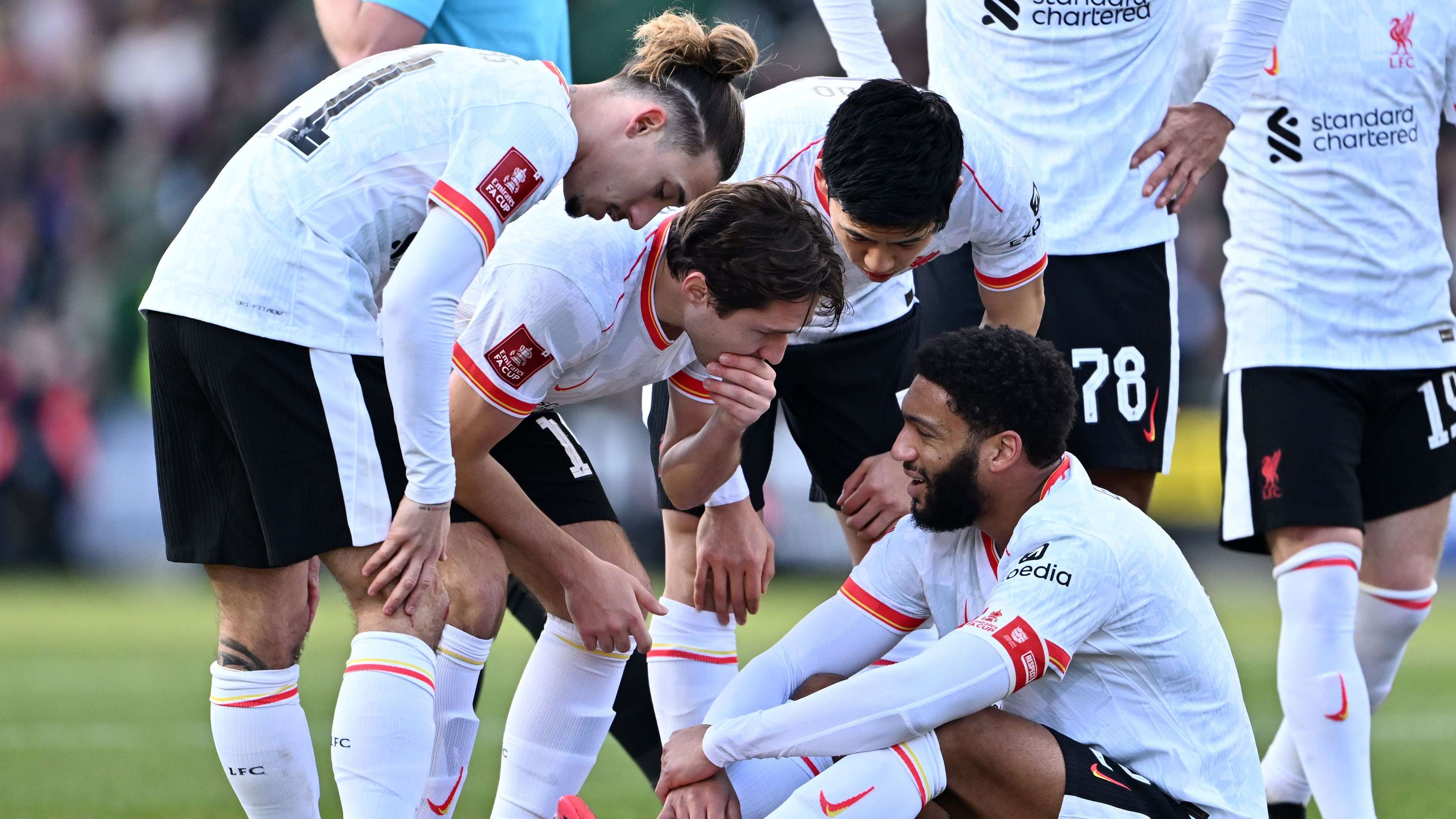 Plymouth Argyle v Liverpool - Emirates FA Cup Fourth Round