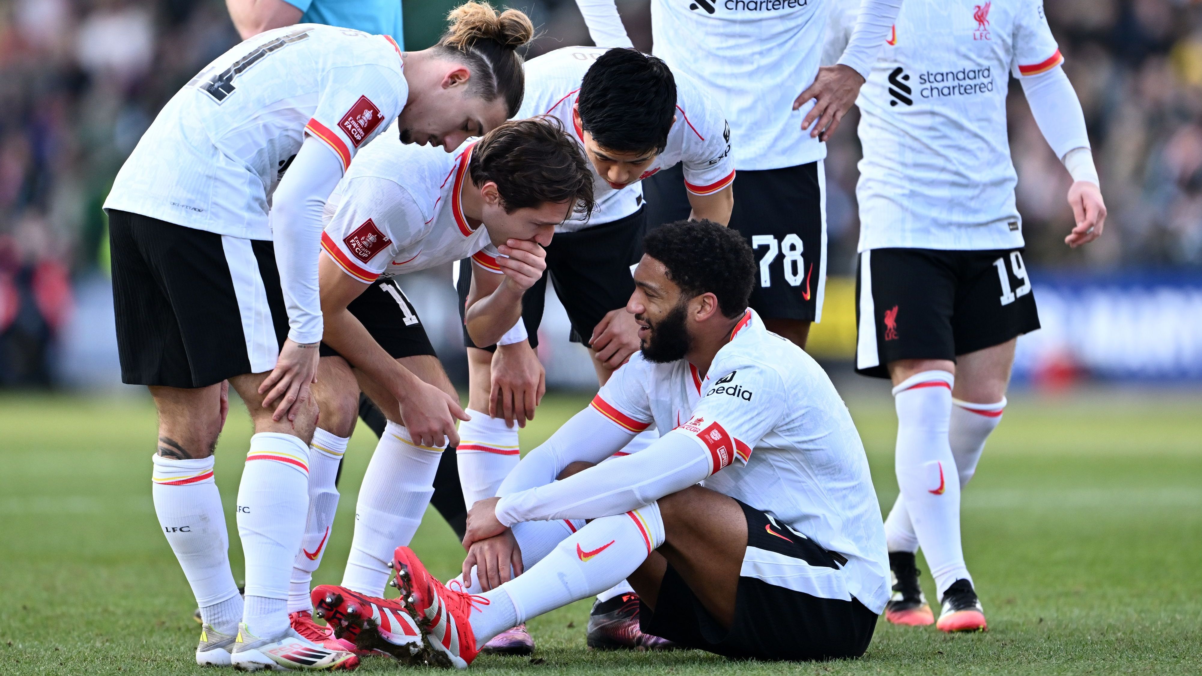 Plymouth Argyle v Liverpool - Emirates FA Cup Fourth Round