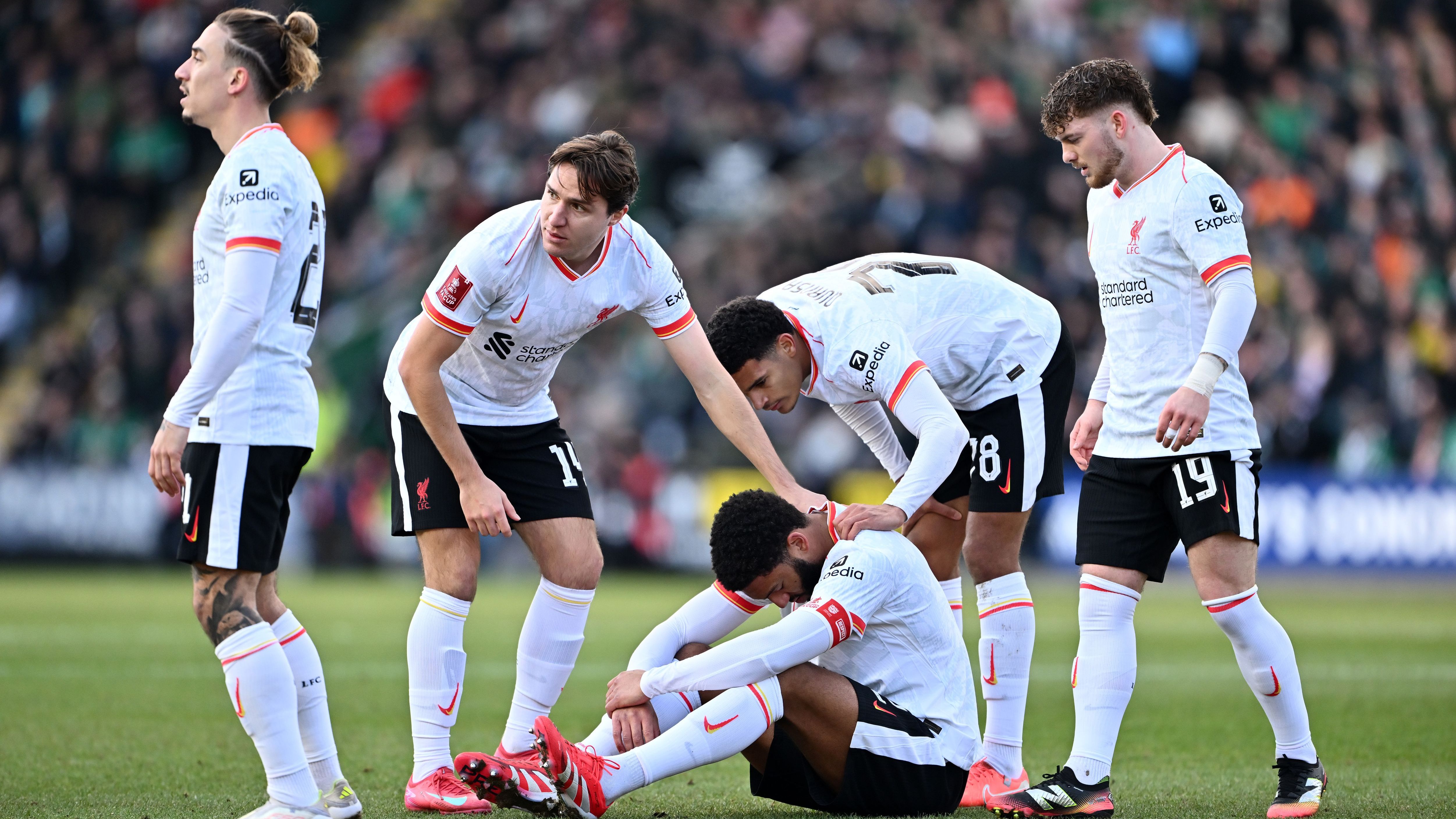 Plymouth Argyle v Liverpool - Emirates FA Cup Fourth Round