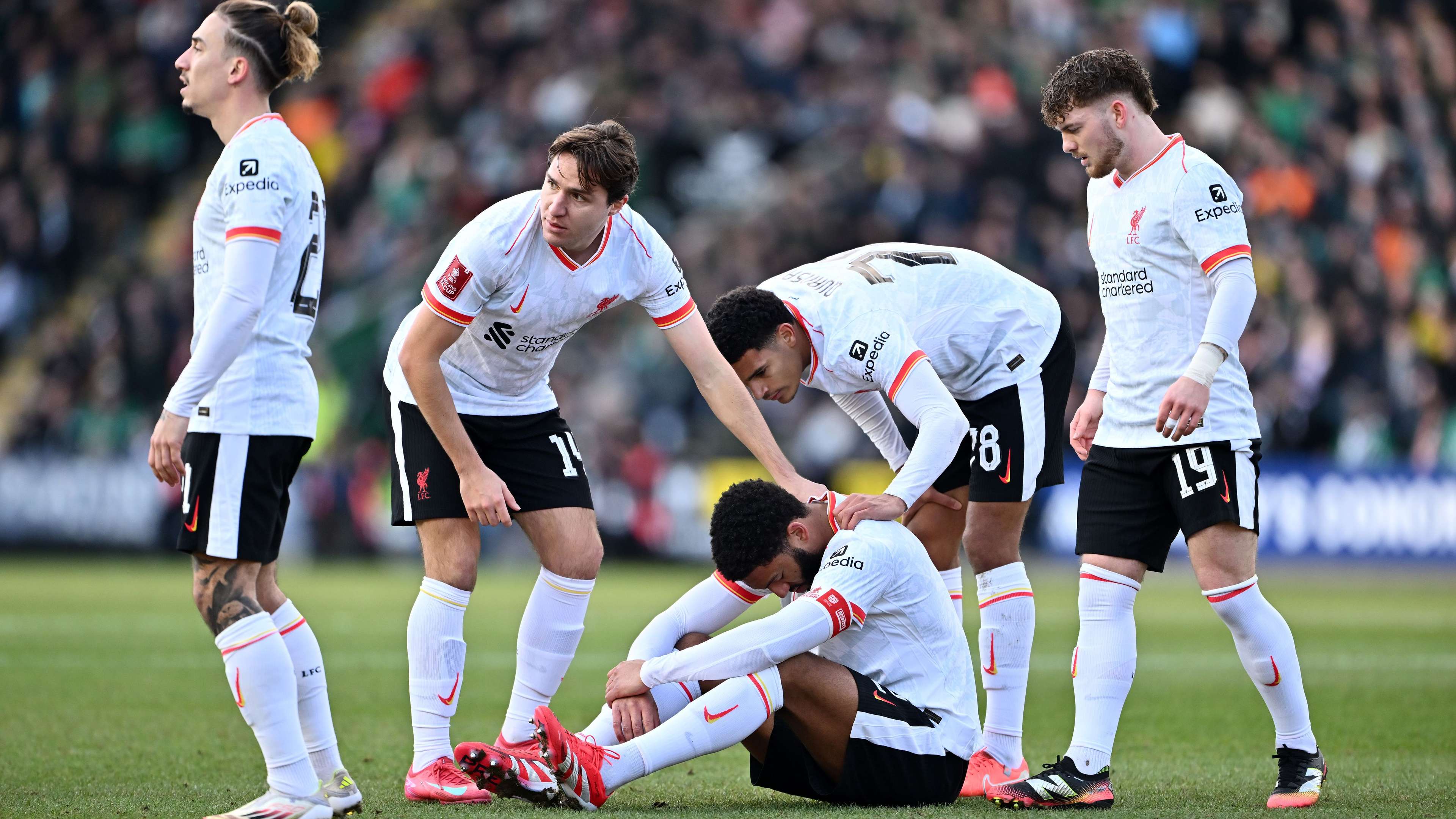 Plymouth Argyle v Liverpool - Emirates FA Cup Fourth Round