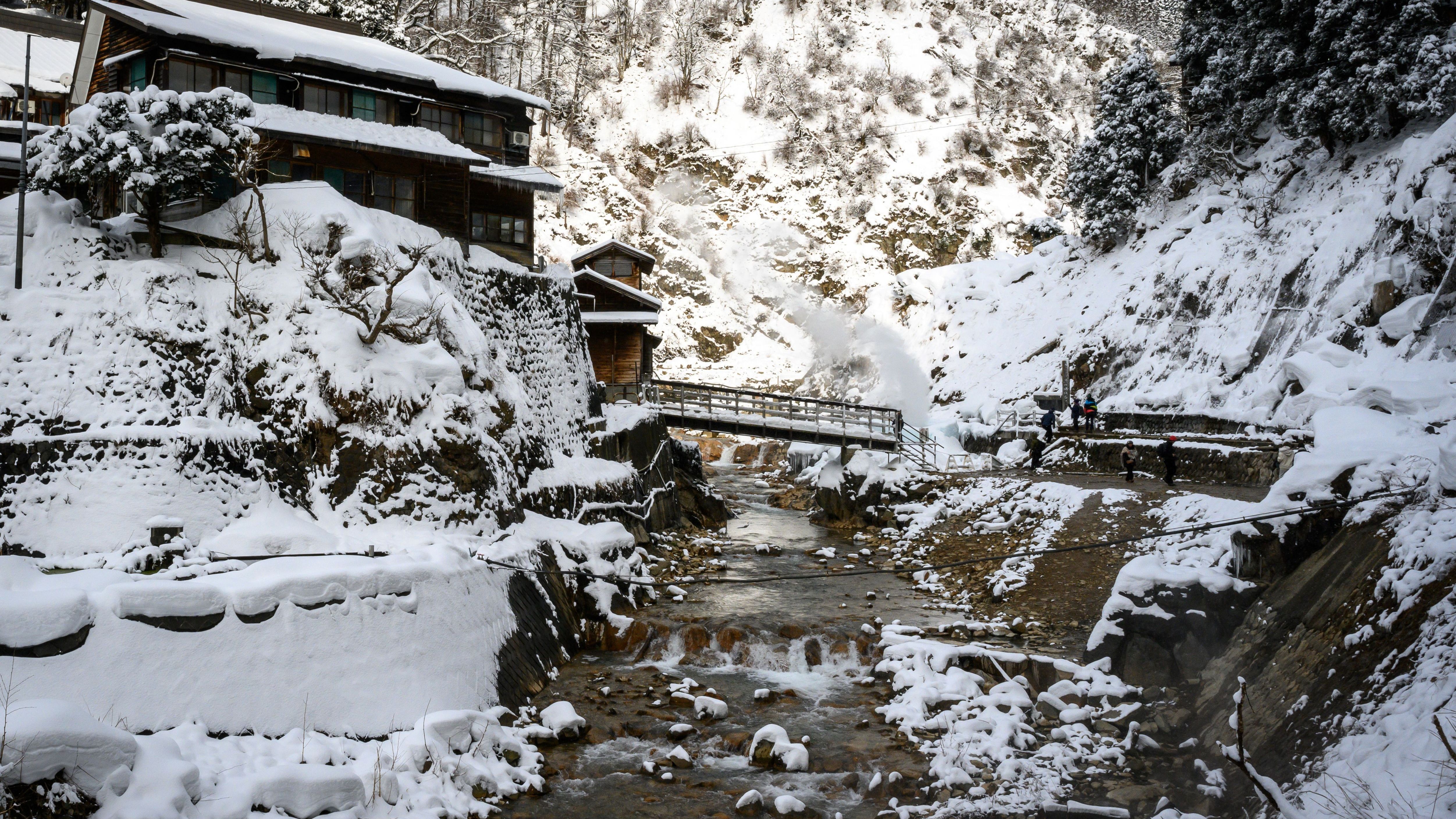 JAPAN-TOURISM-LIFESTYLE-ANIMAL