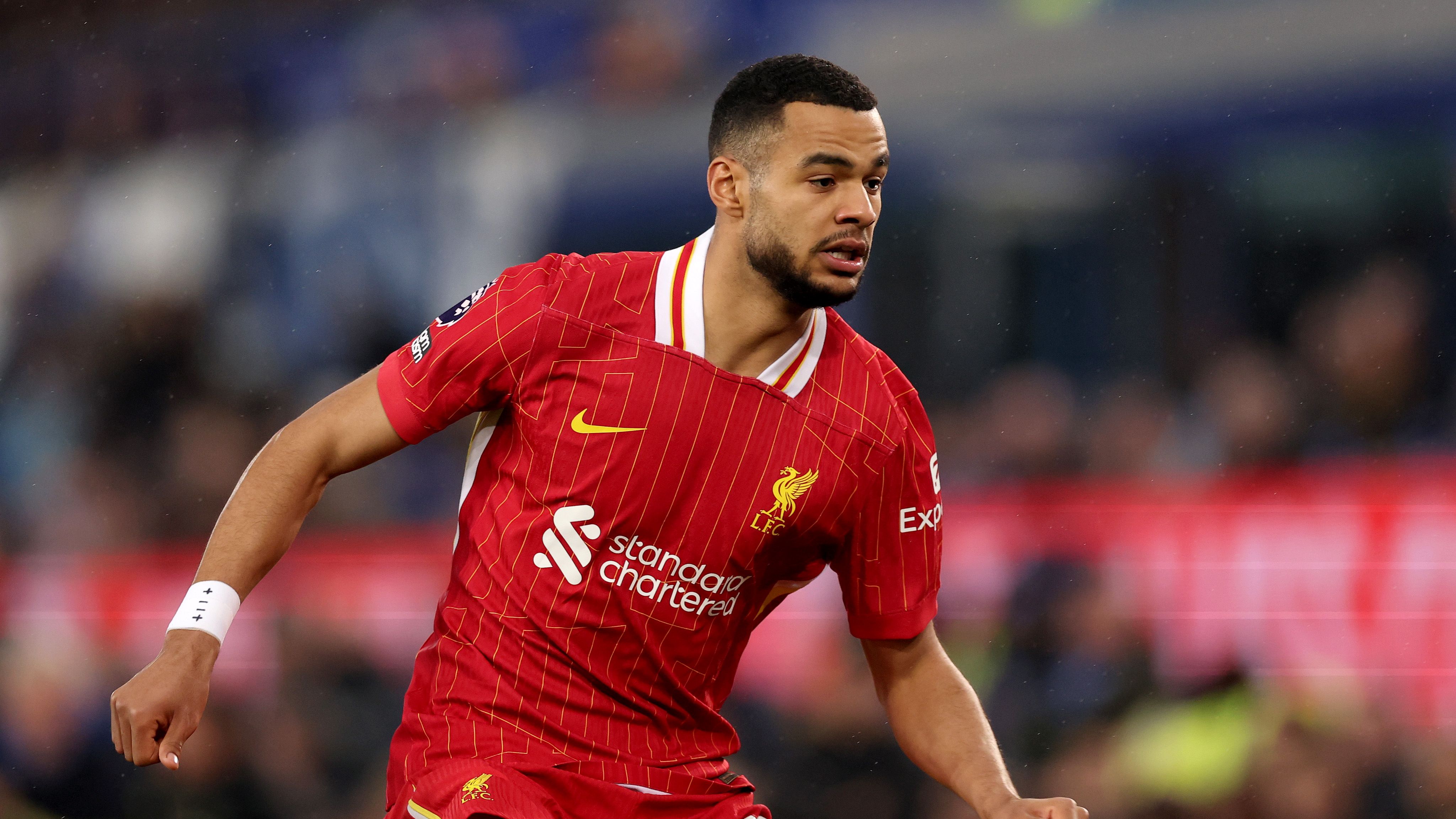 Everton FC v Liverpool FC - Premier League