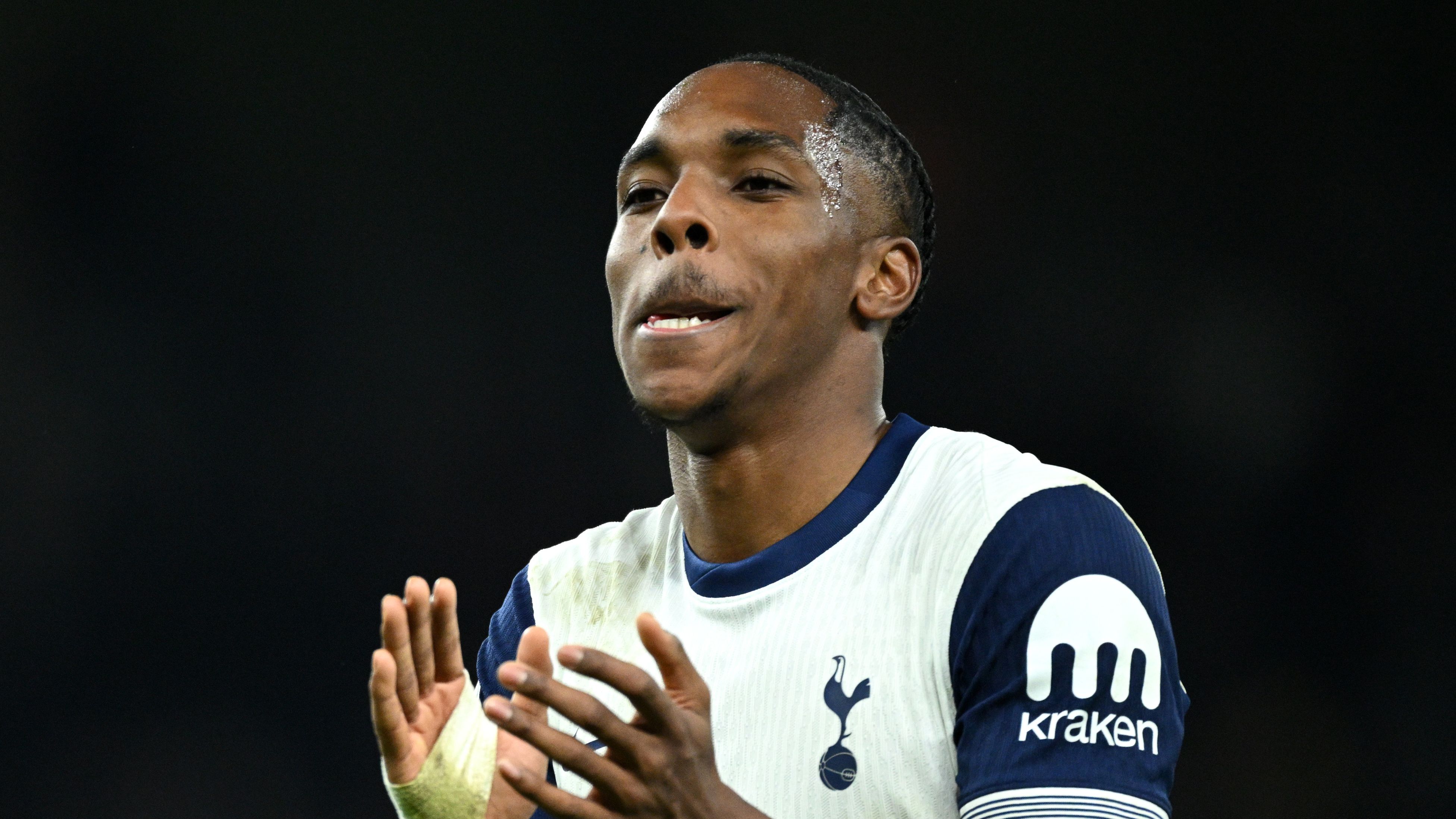 Tottenham Hotspur FC v Manchester United FC - Premier League