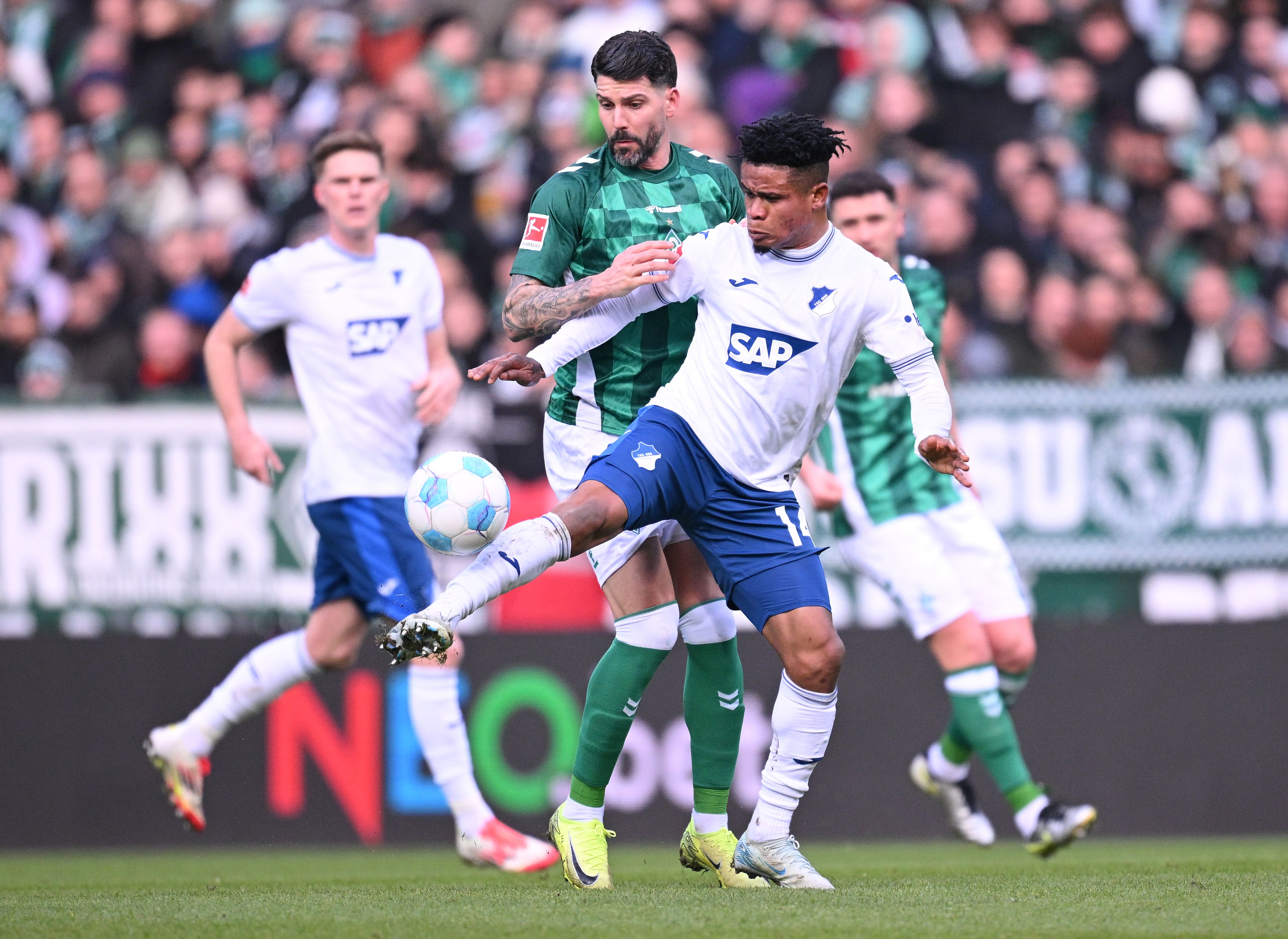 SV Werder Bremen v TSG 1899 Hoffenheim - Bundesliga