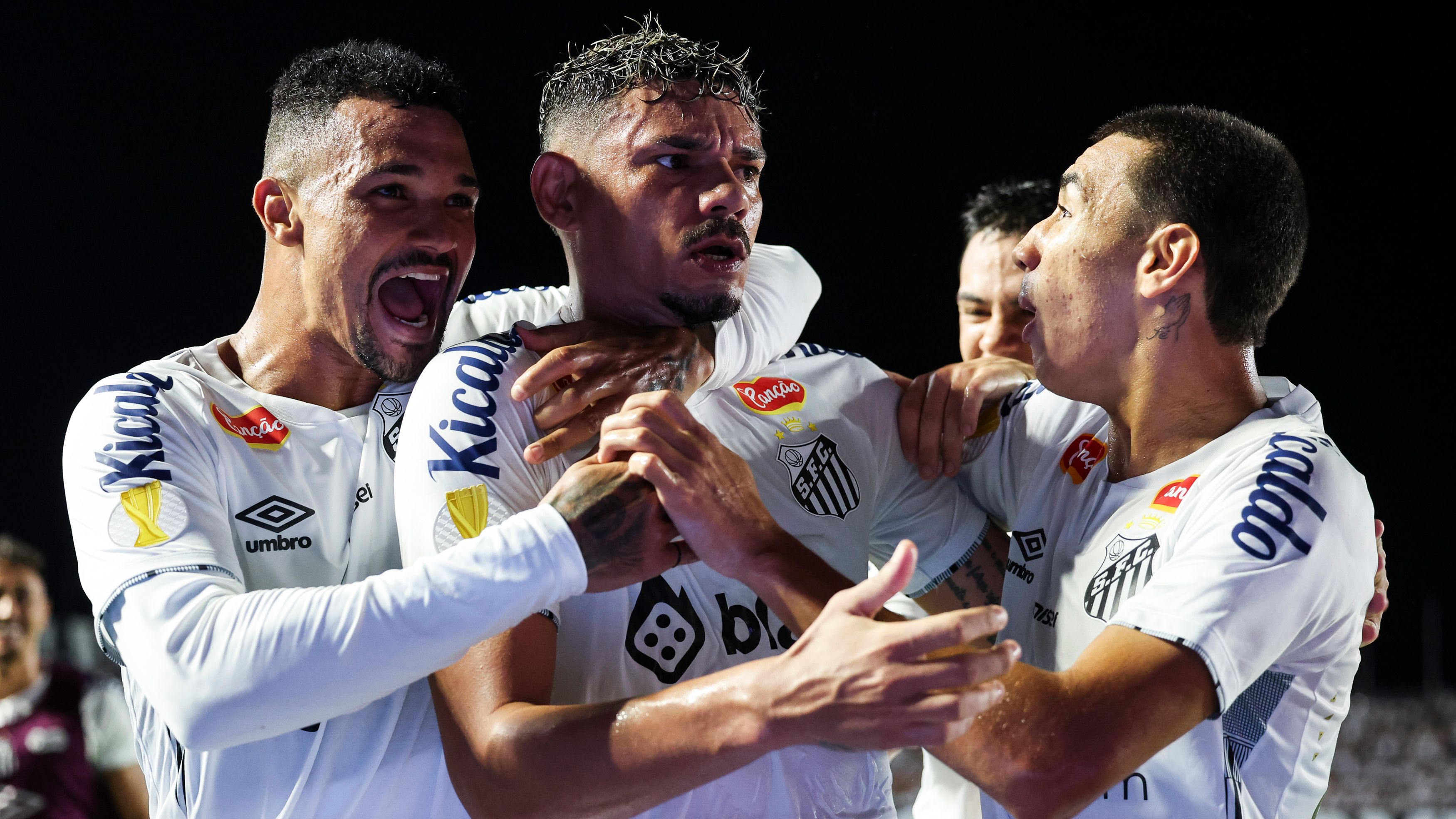 Santos v Noroeste - Campeonato Paulista 2025