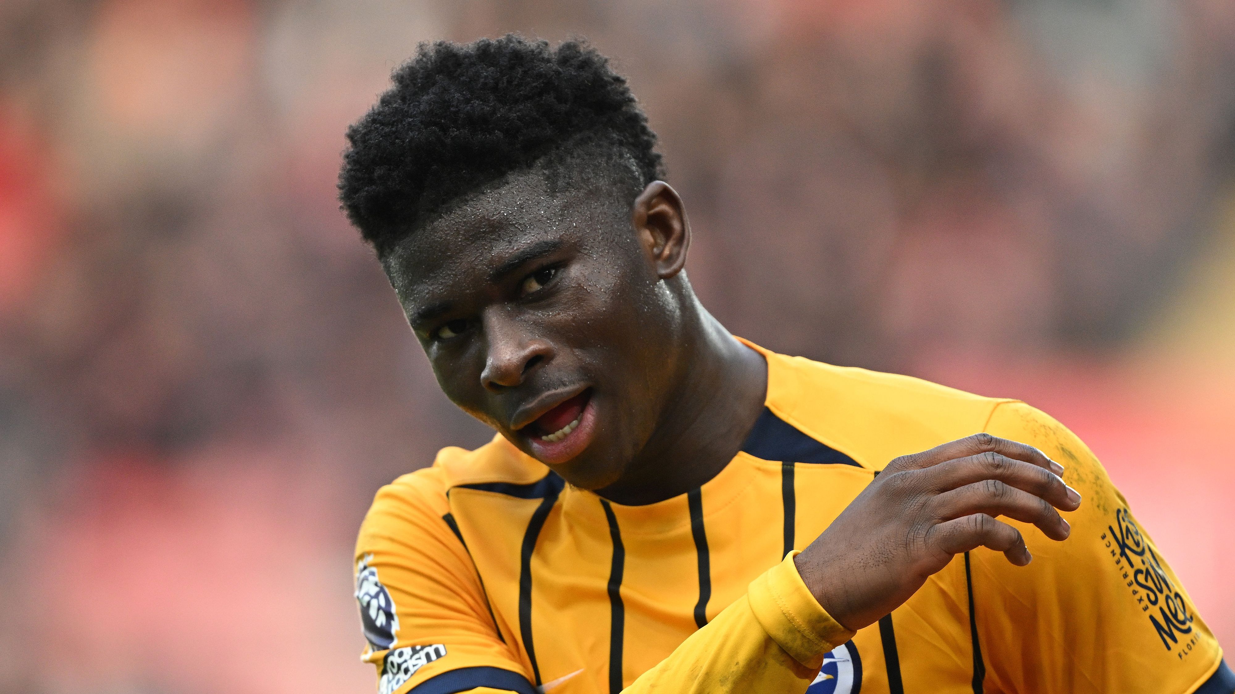 Southampton FC v Brighton & Hove Albion FC - Premier League