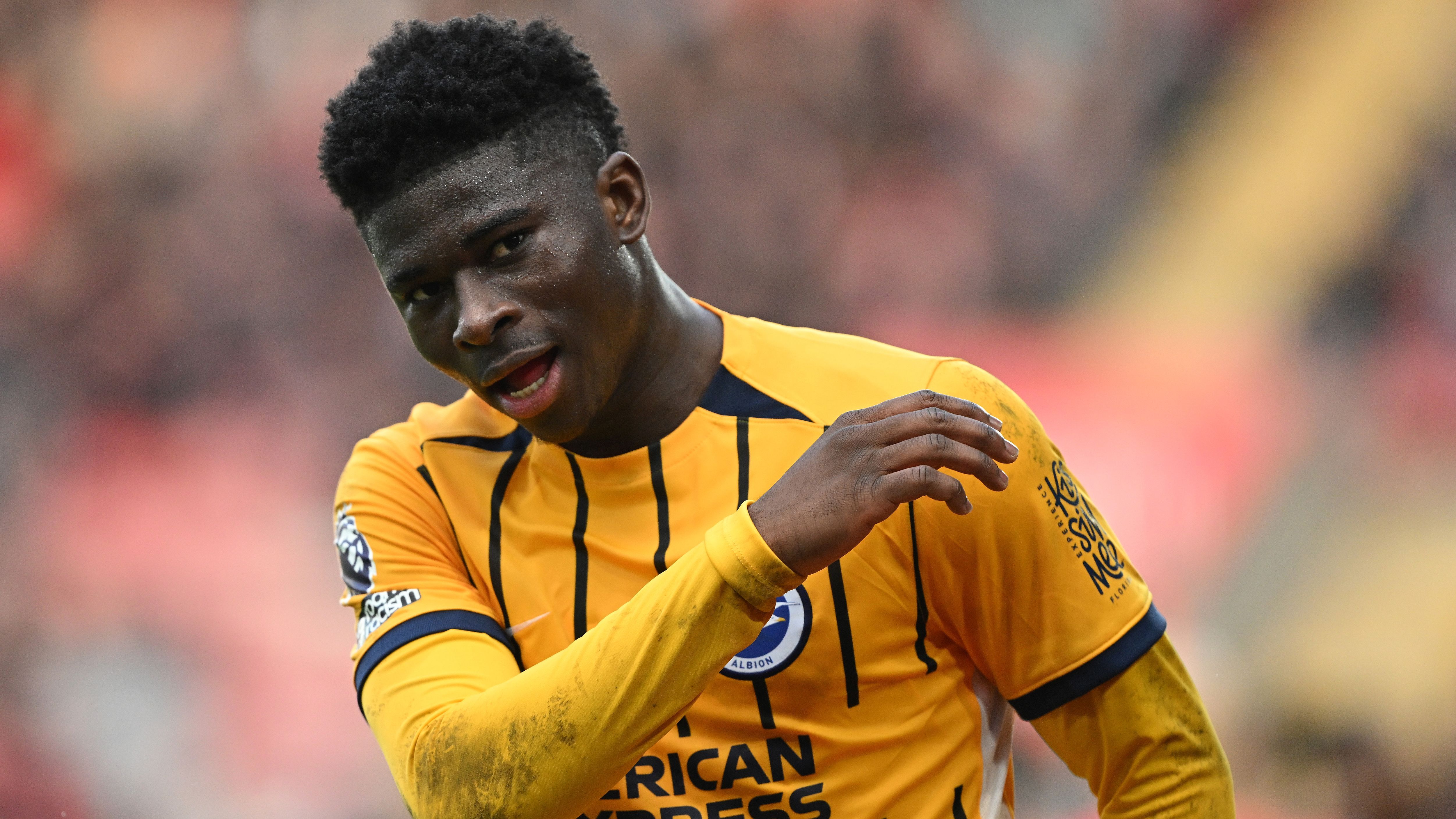 Southampton FC v Brighton & Hove Albion FC - Premier League