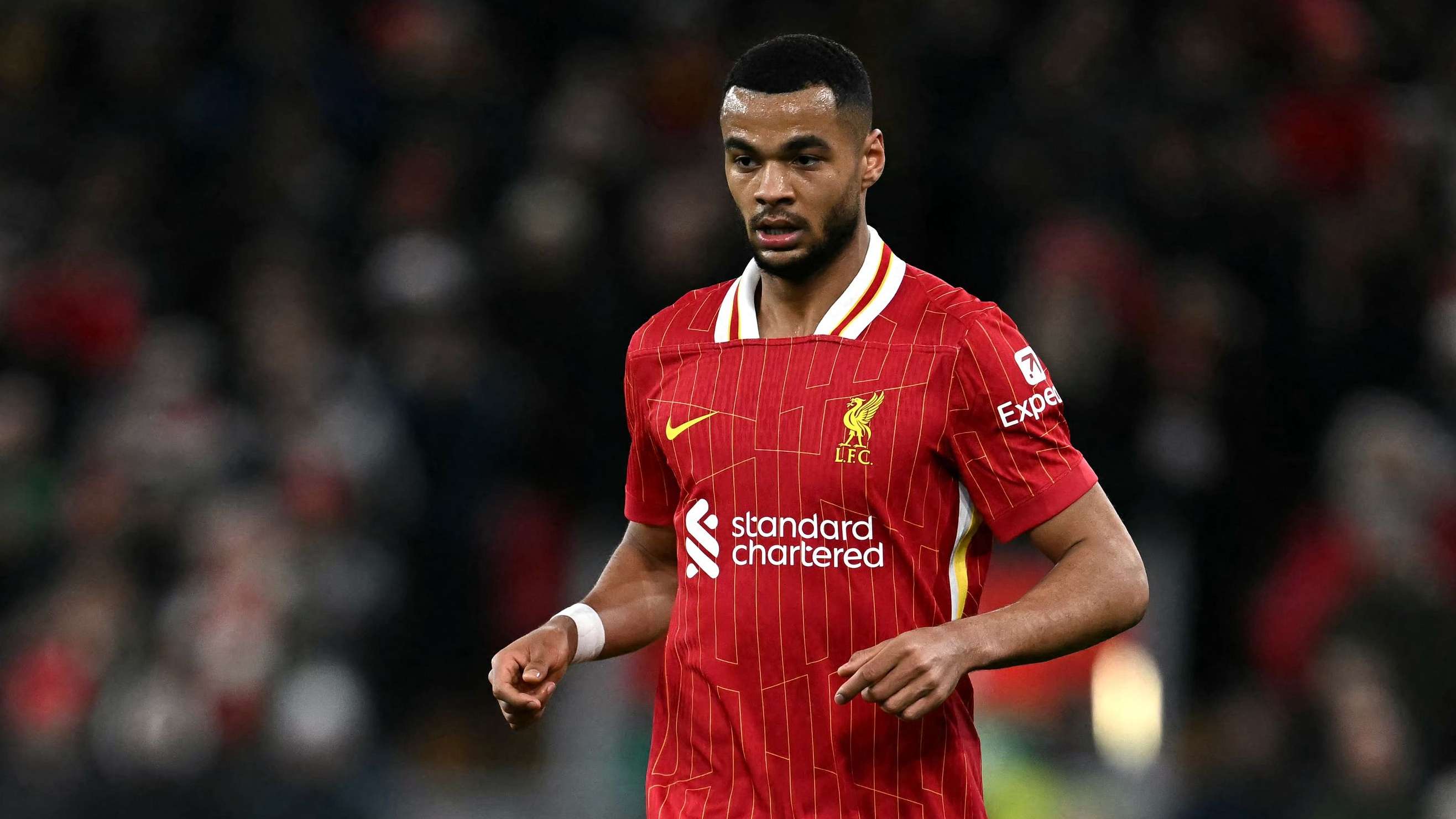 FBL-ENG-PR-LIVERPOOL-NEWCASTLE