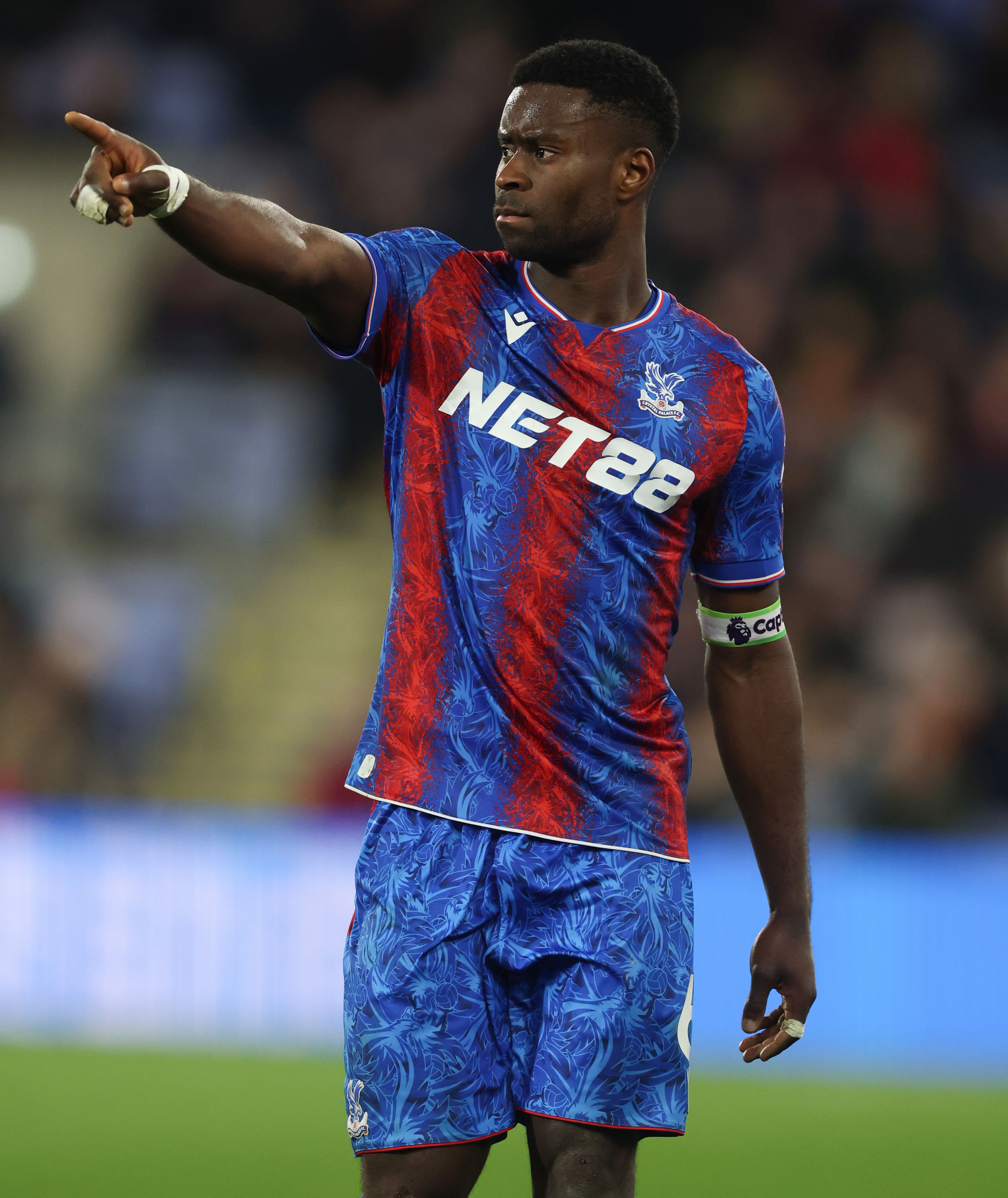 Crystal Palace FC v Aston Villa FC - Premier League