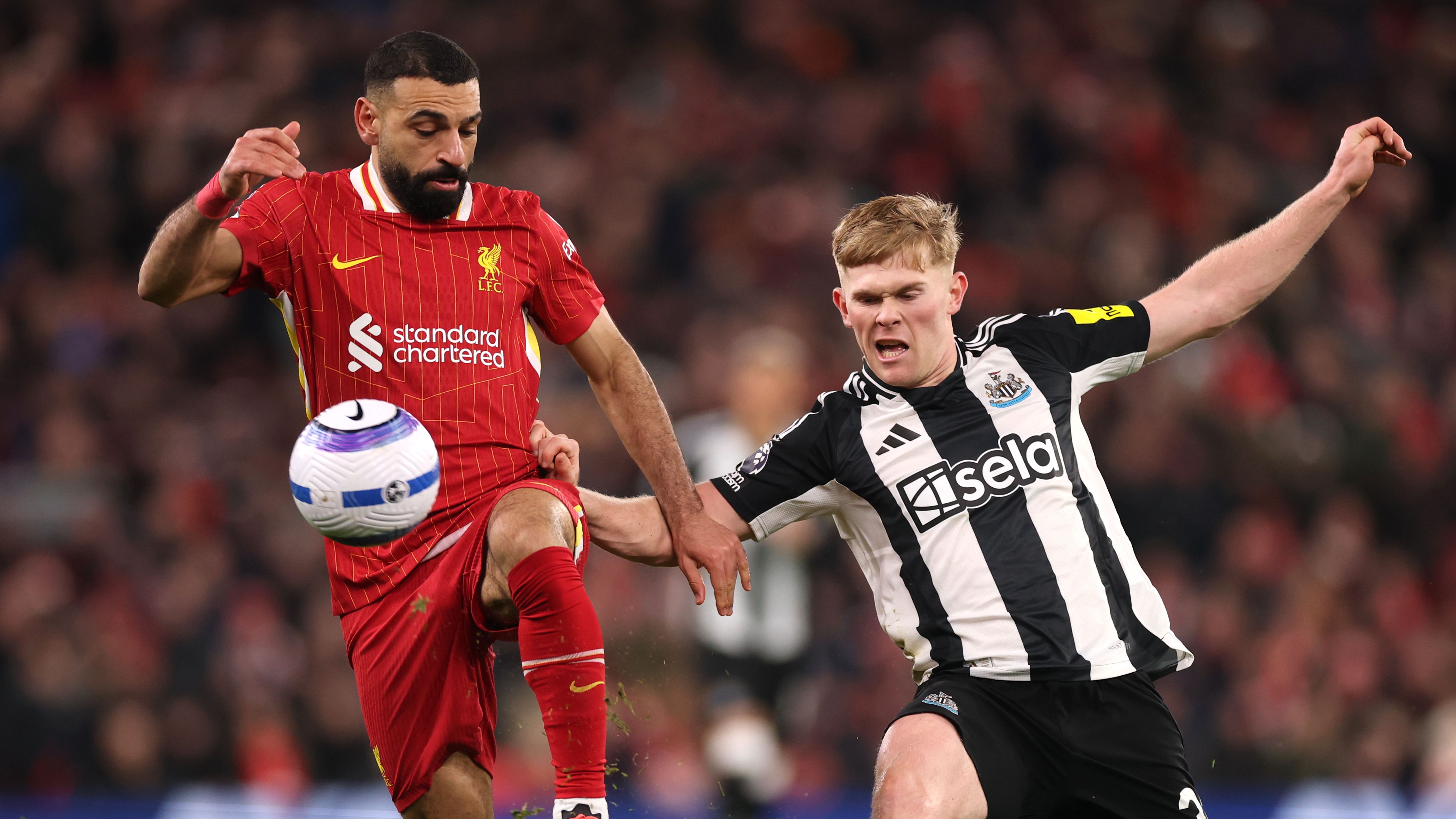 Liverpool FC v Newcastle United FC - Premier League
