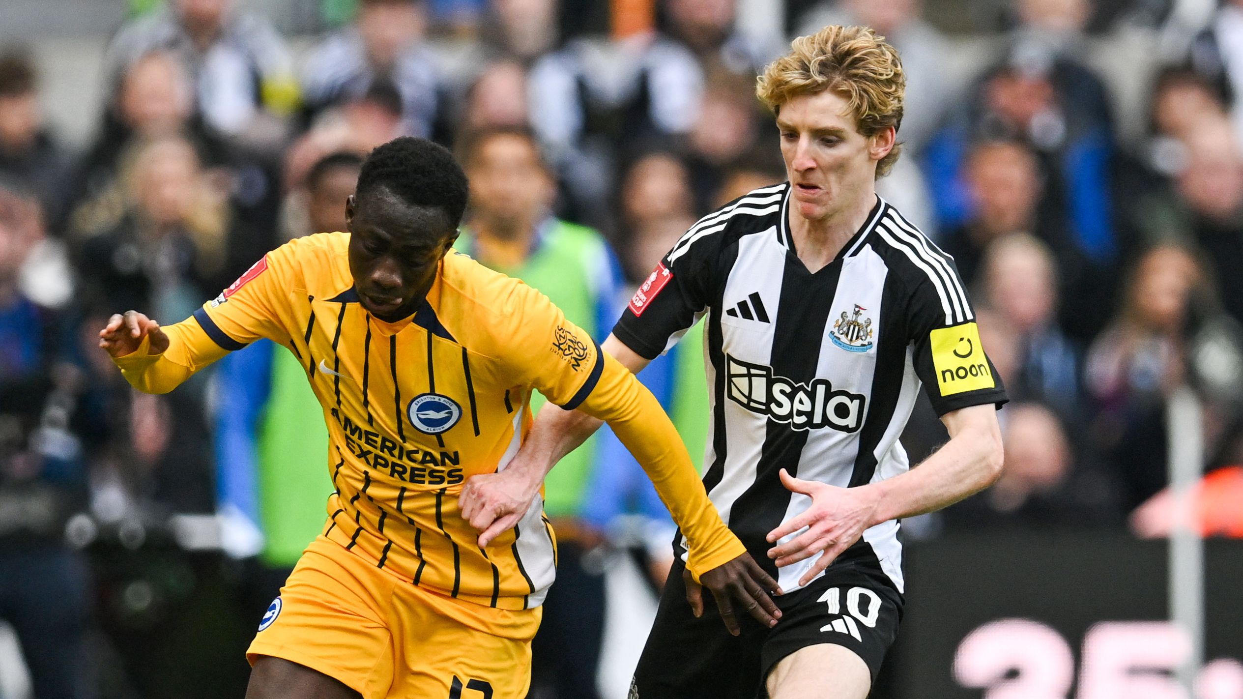 FBL-ENG-FACUP-NEWCASTLE-BRIGHTON