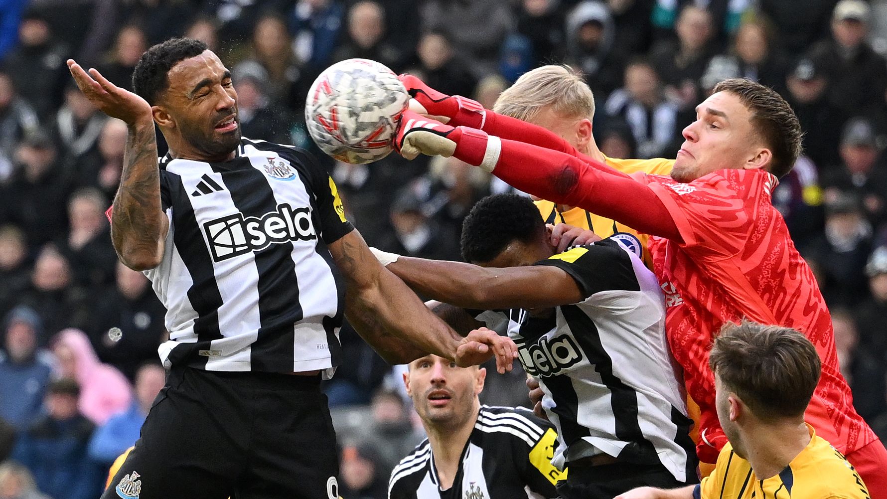 Newcastle United v Brighton & Hove Albion - Emirates FA Cup Fifth Round