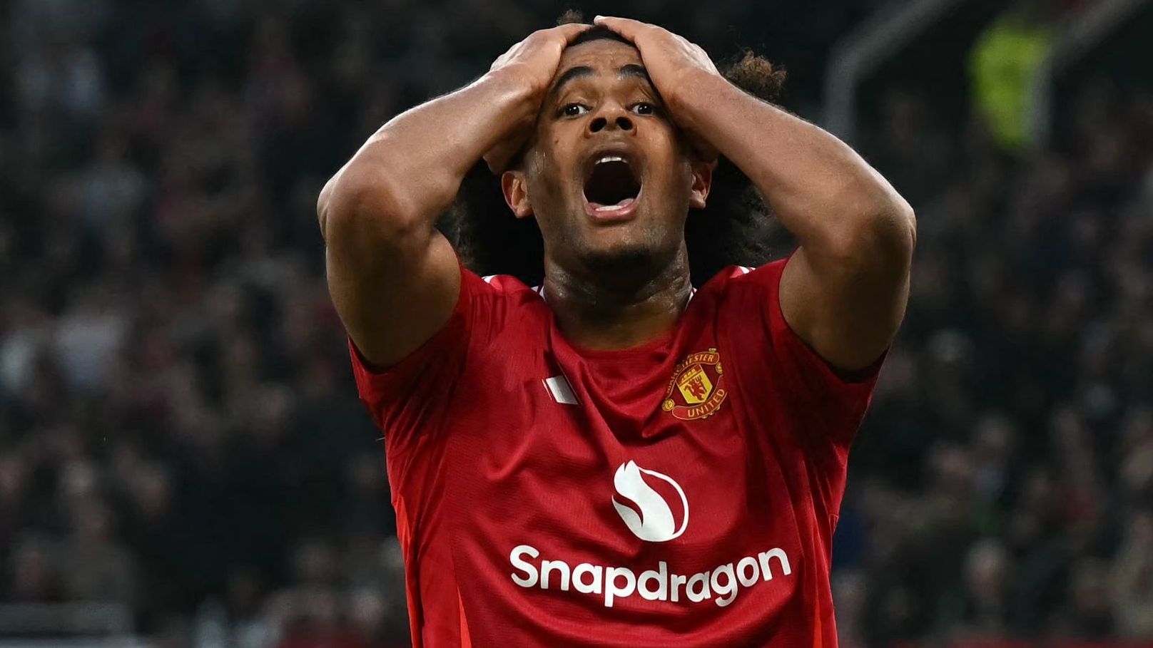 'Not good enough' - Man Utd's Joshua Zirkzee sent brutal message by Netherlands boss Ronald Koeman after being snubbed for latest Oranje squad | Goal.com UK