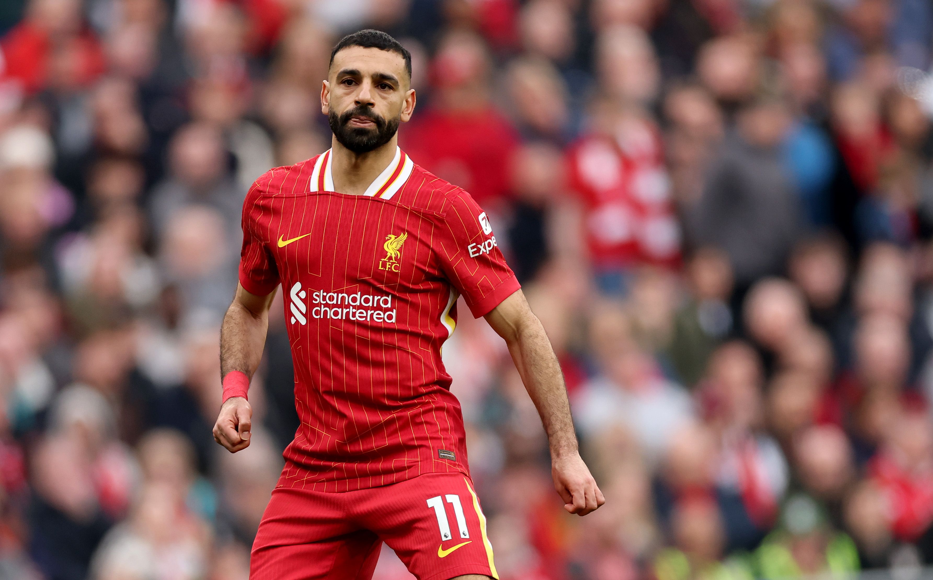 Liverpool FC v Southampton FC - Premier League