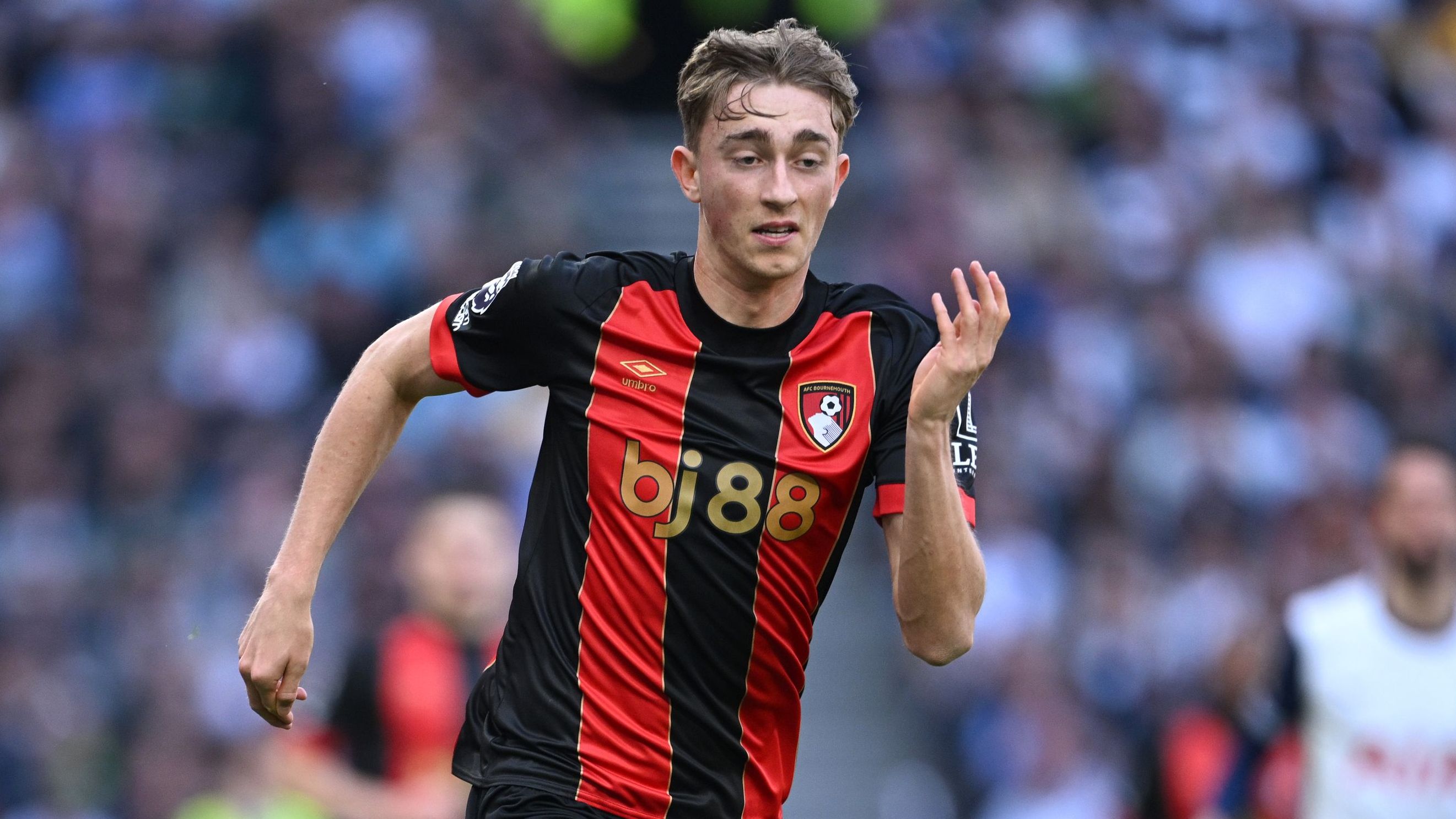 Tottenham Hotspur FC v AFC Bournemouth - Premier League