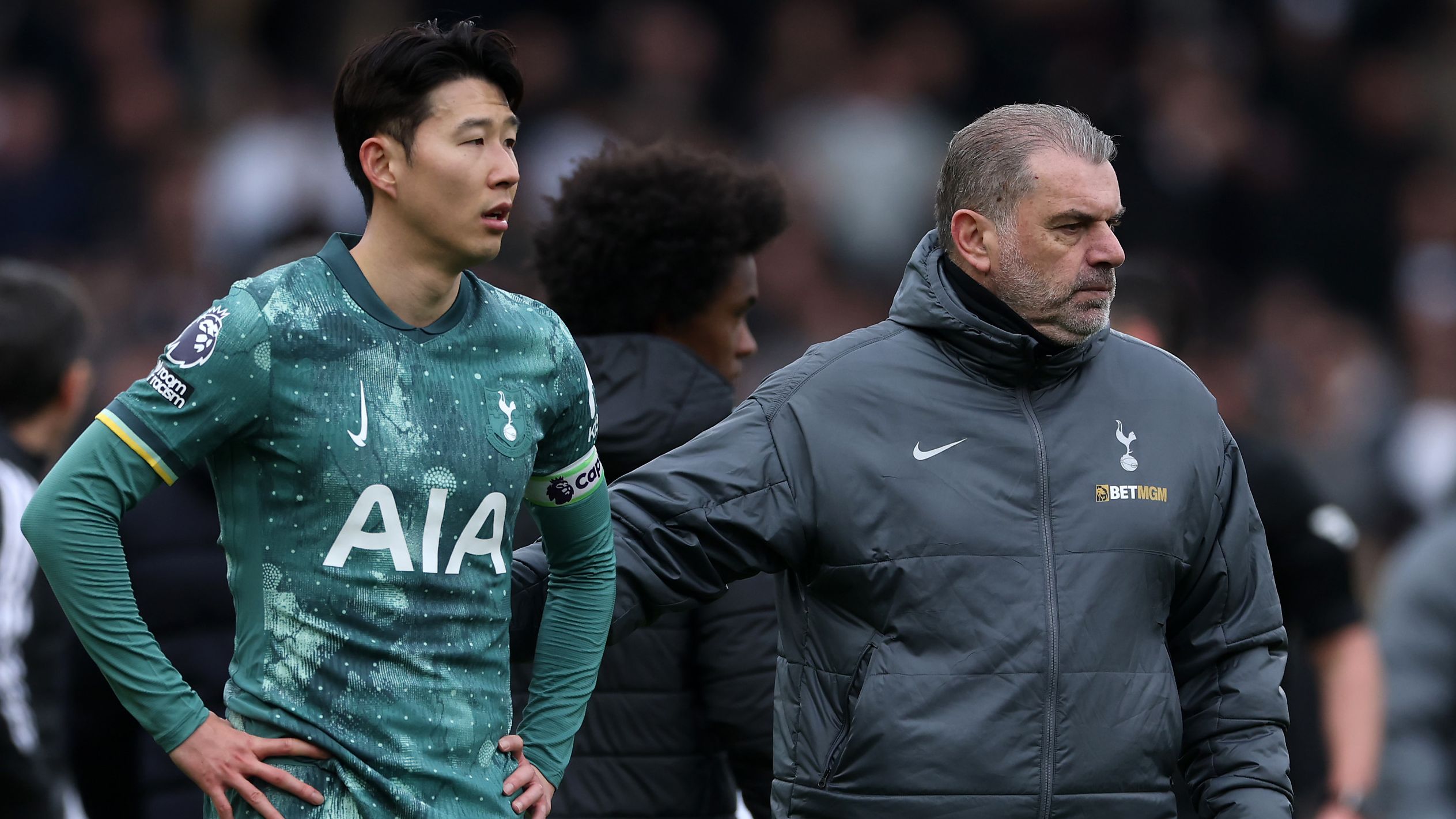 Fulham FC v Tottenham Hotspur FC - Premier League